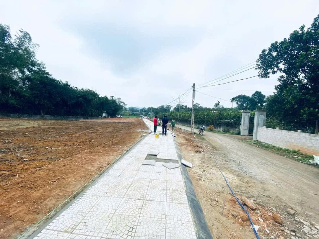 Nhà đất mặt phố Triệu Sơn, Thanh Hóa - 122.8m² giá, .33 tỷ