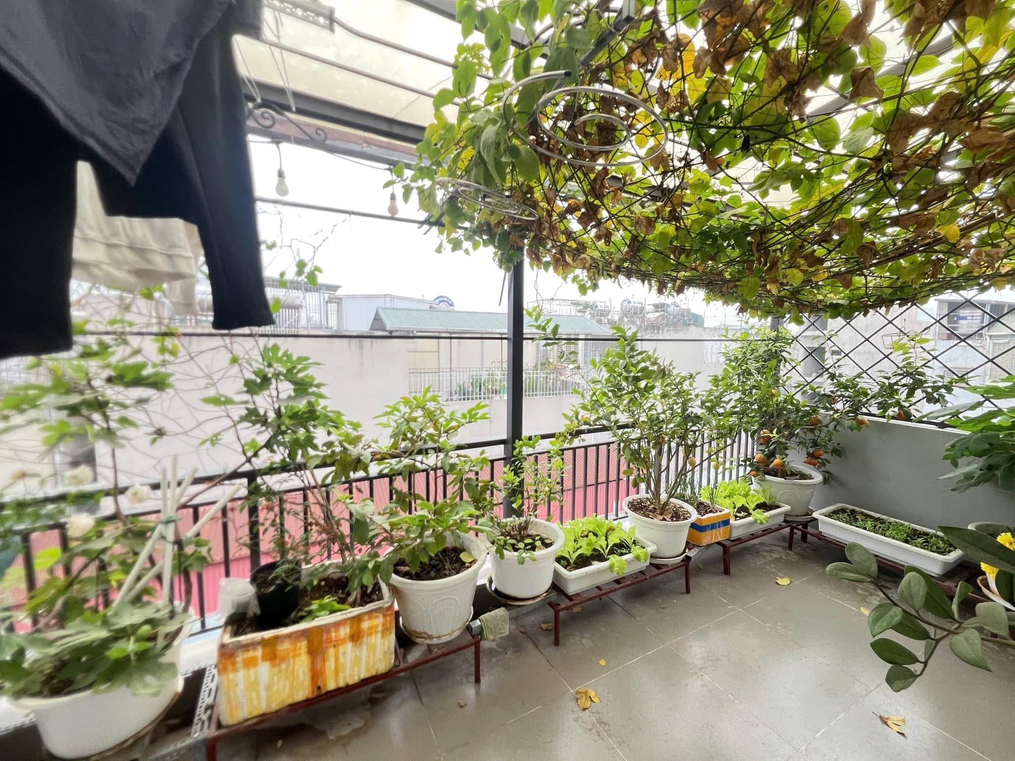 Nhà đất mặt phố, Hoàng Mai, Hà Nội - 34.8m² giá 13.5 tỷ