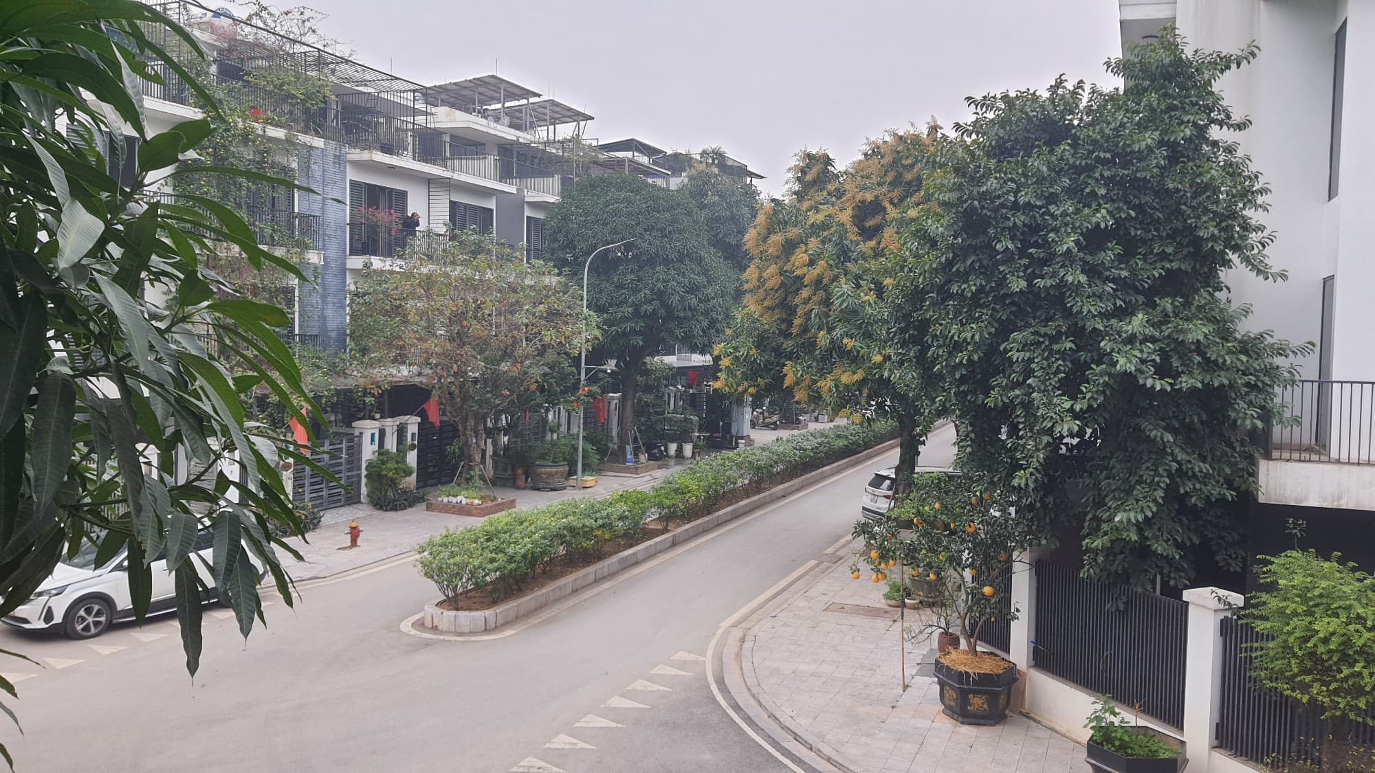 Nhà đất The Eden Rose -, - 124m² giá 39.8 tỷ