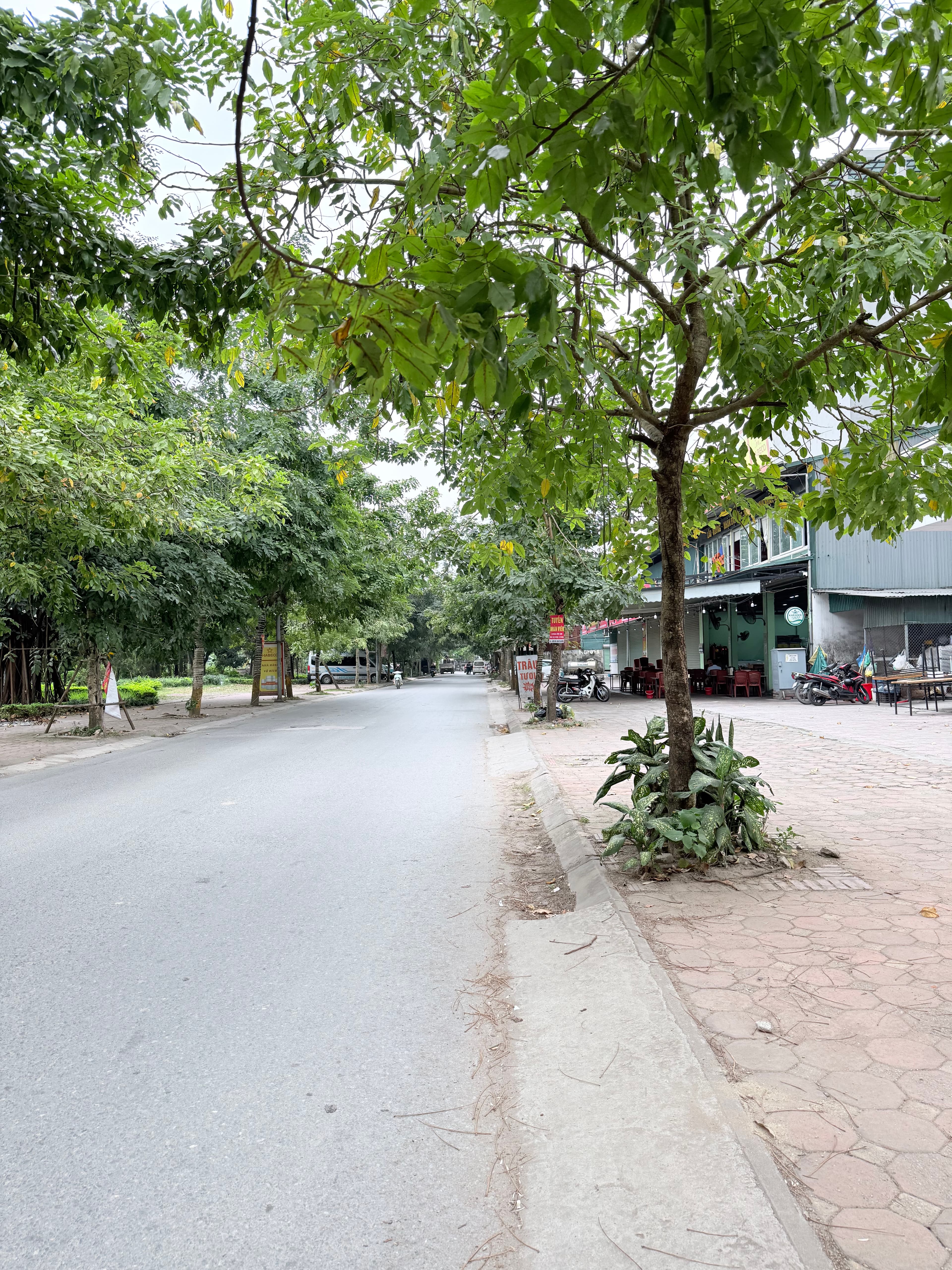 Nhà đất Khu đô thị mới Sơn Đồng -, - 89m² giá 31.5 tỷ