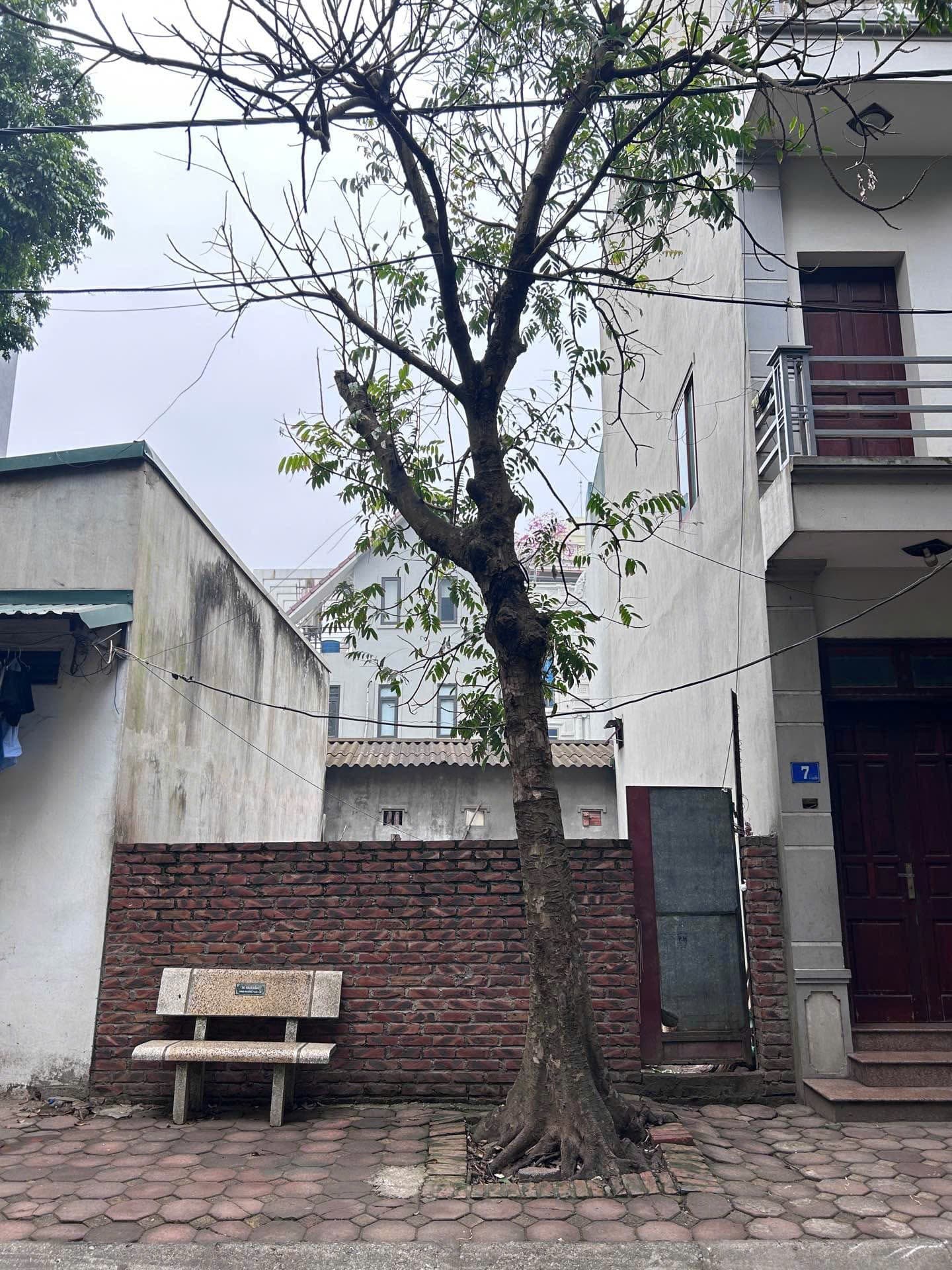 Nhà đất mặt phố, Long Biên, Hà Nội - 40m² giá 12.2 tỷ