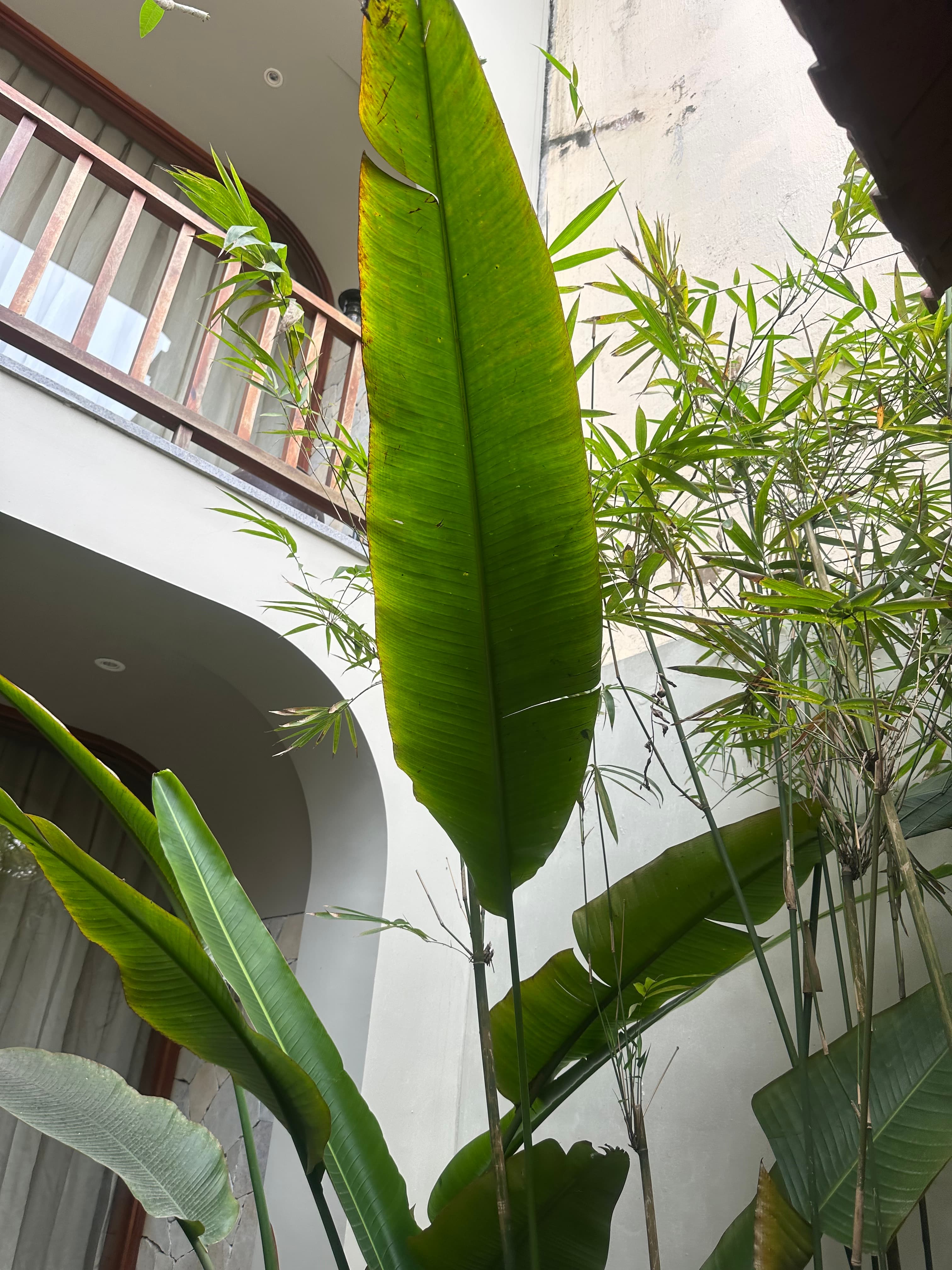 Nhà đất mặt phố, Ba Đình, Hà Nội - 79.2m² giá 29 tỷ