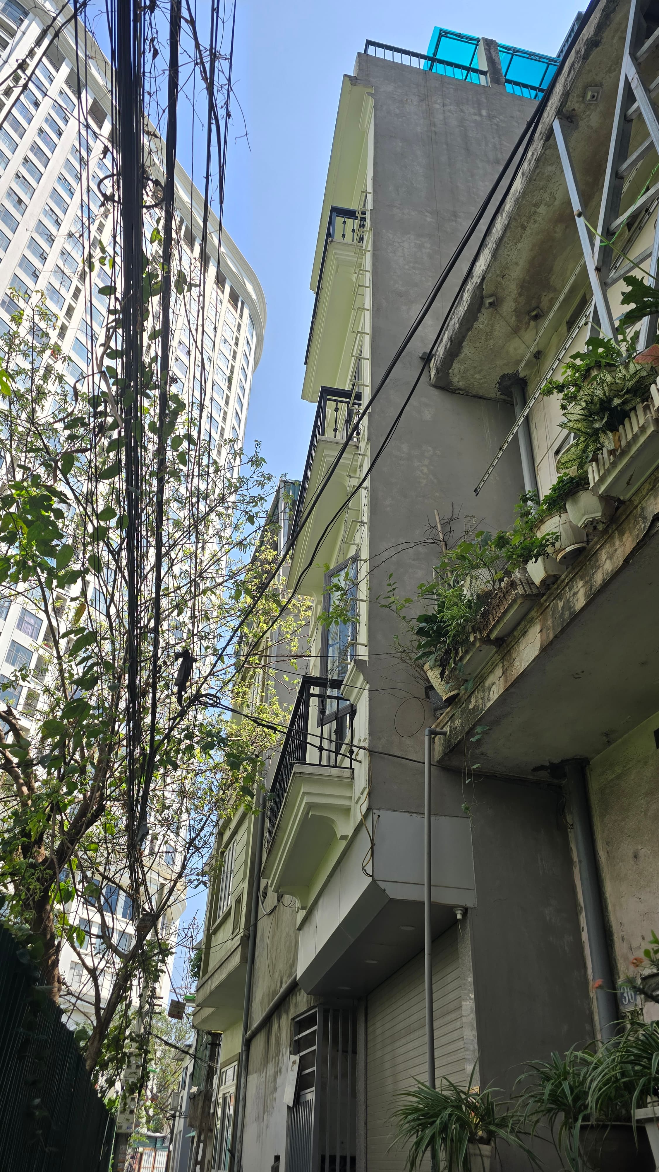 Nhà đất mặt phố, Hoàng Mai, Hà Nội - 41m² giá 11.3 tỷ
