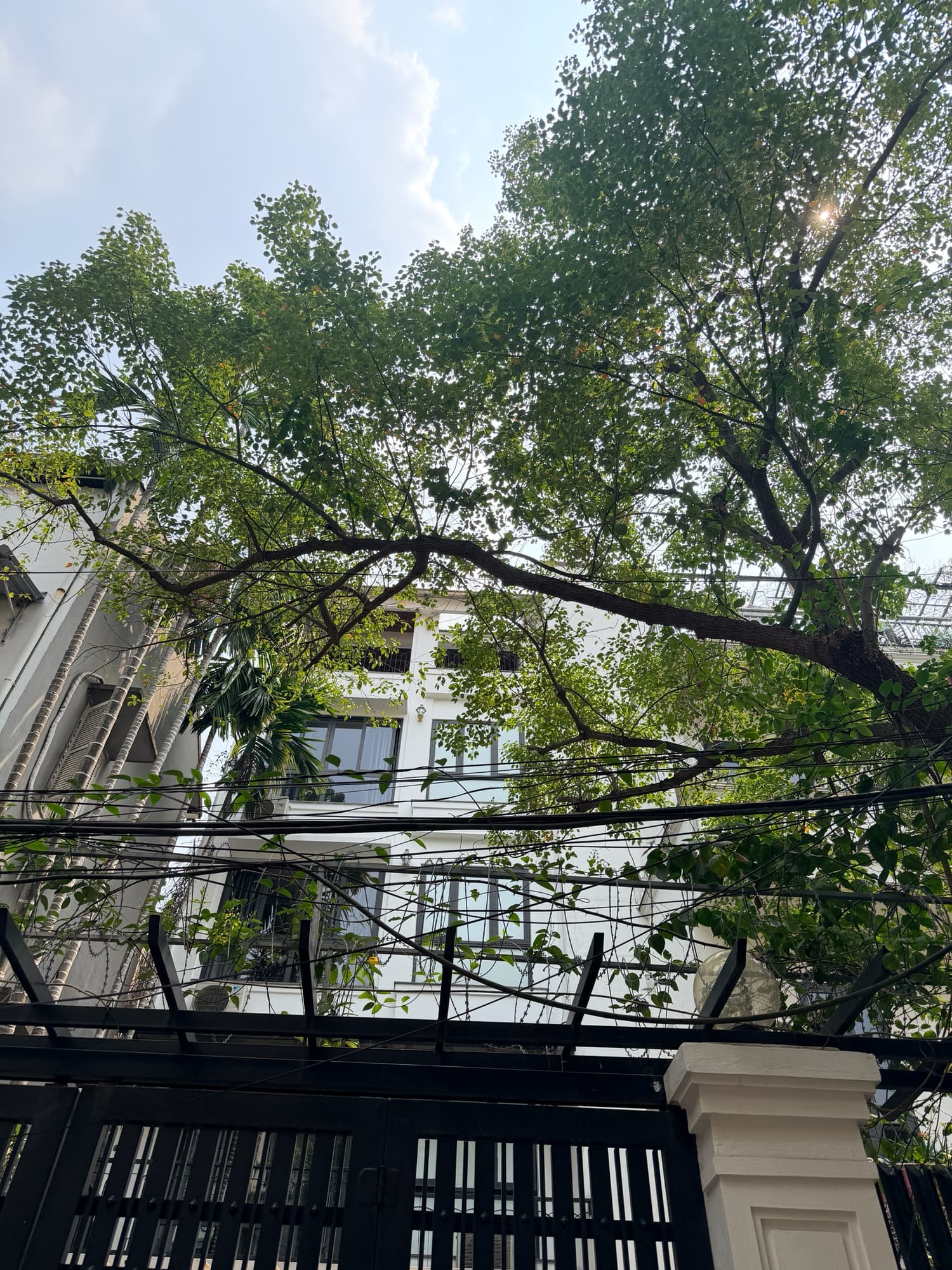 Nhà đất mặt phố, Tây Hồ, Hà Nội - 93m² giá 46 tỷ