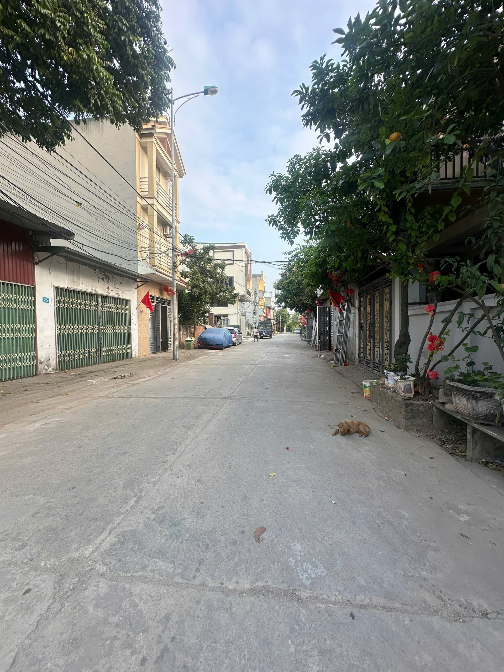 Nhà đất mặt phố, Đan Phượng, Hà Nội - 53m² giá 4.85 tỷ