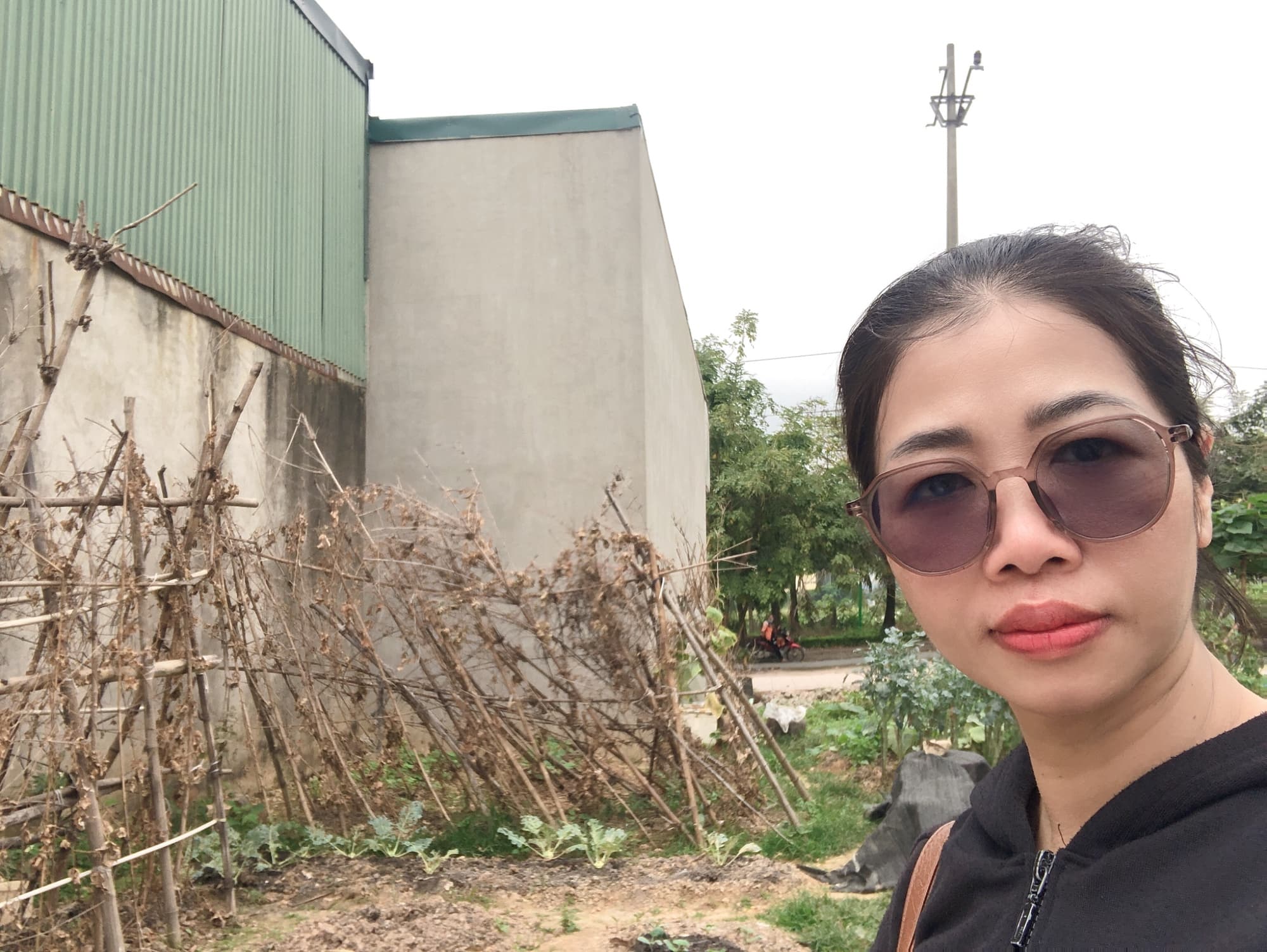 Nhà đất mặt phố, Đan Phượng, Hà Nội - 48m² giá 8.4 tỷ