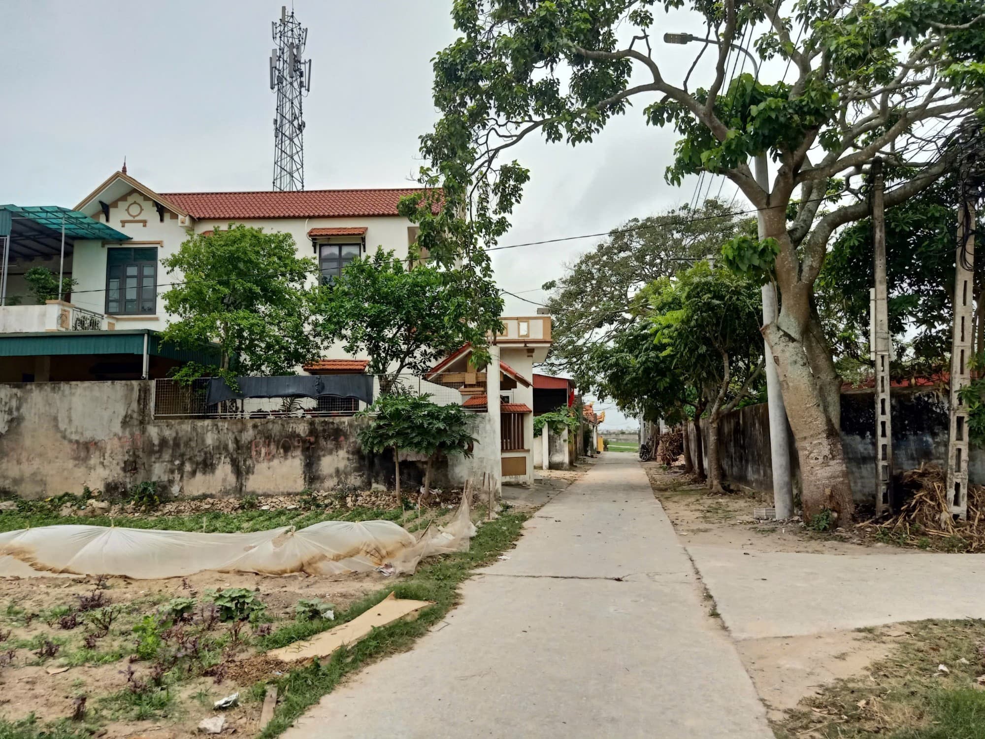 Nhà đất mặt phố Thanh Hóa, Thanh Hóa - 145m² giá 1.45 tỷ