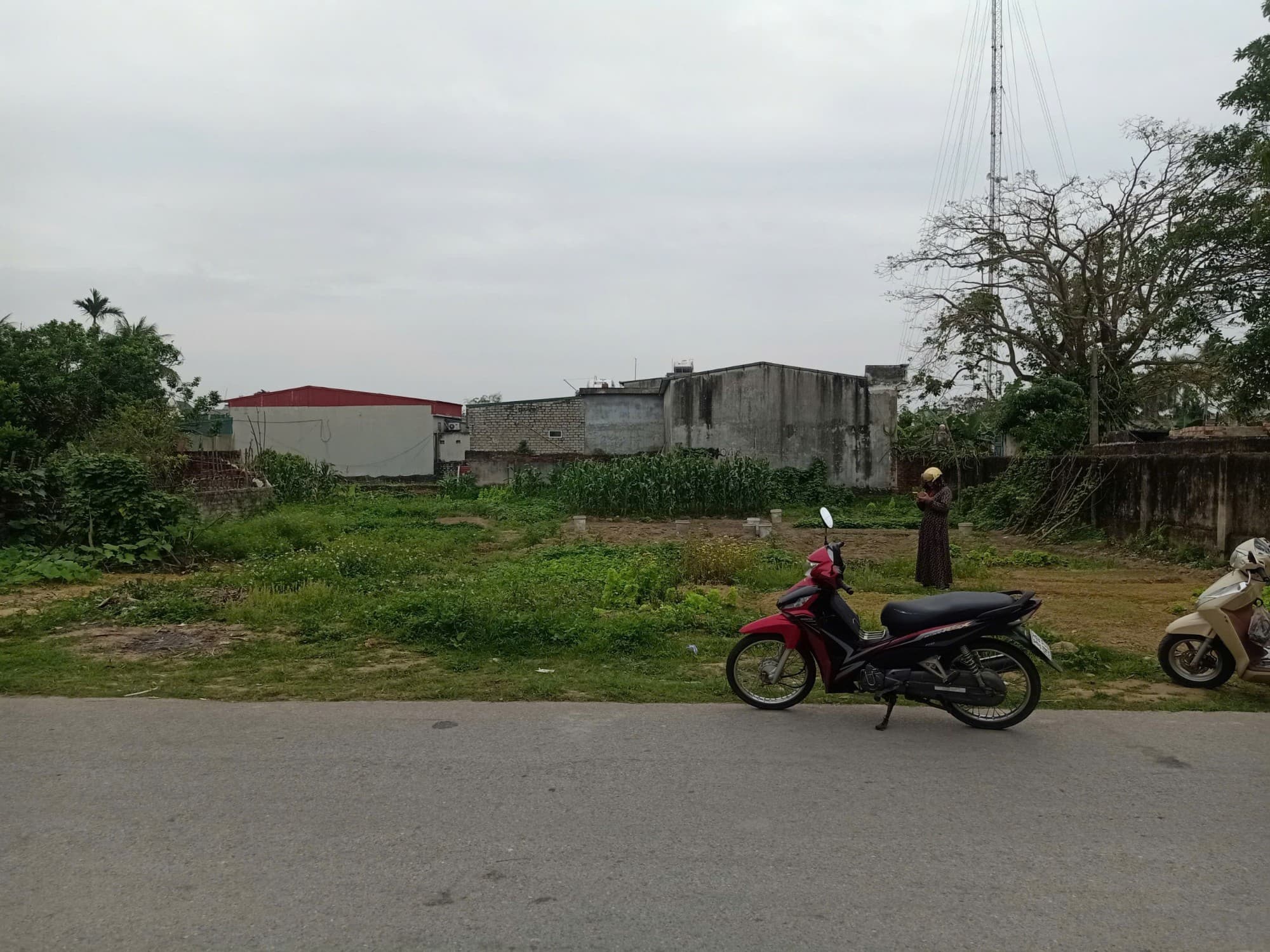 Nhà đất mặt phố Thanh Hóa, Thanh Hóa - 693m² giá 7.75 tỷ