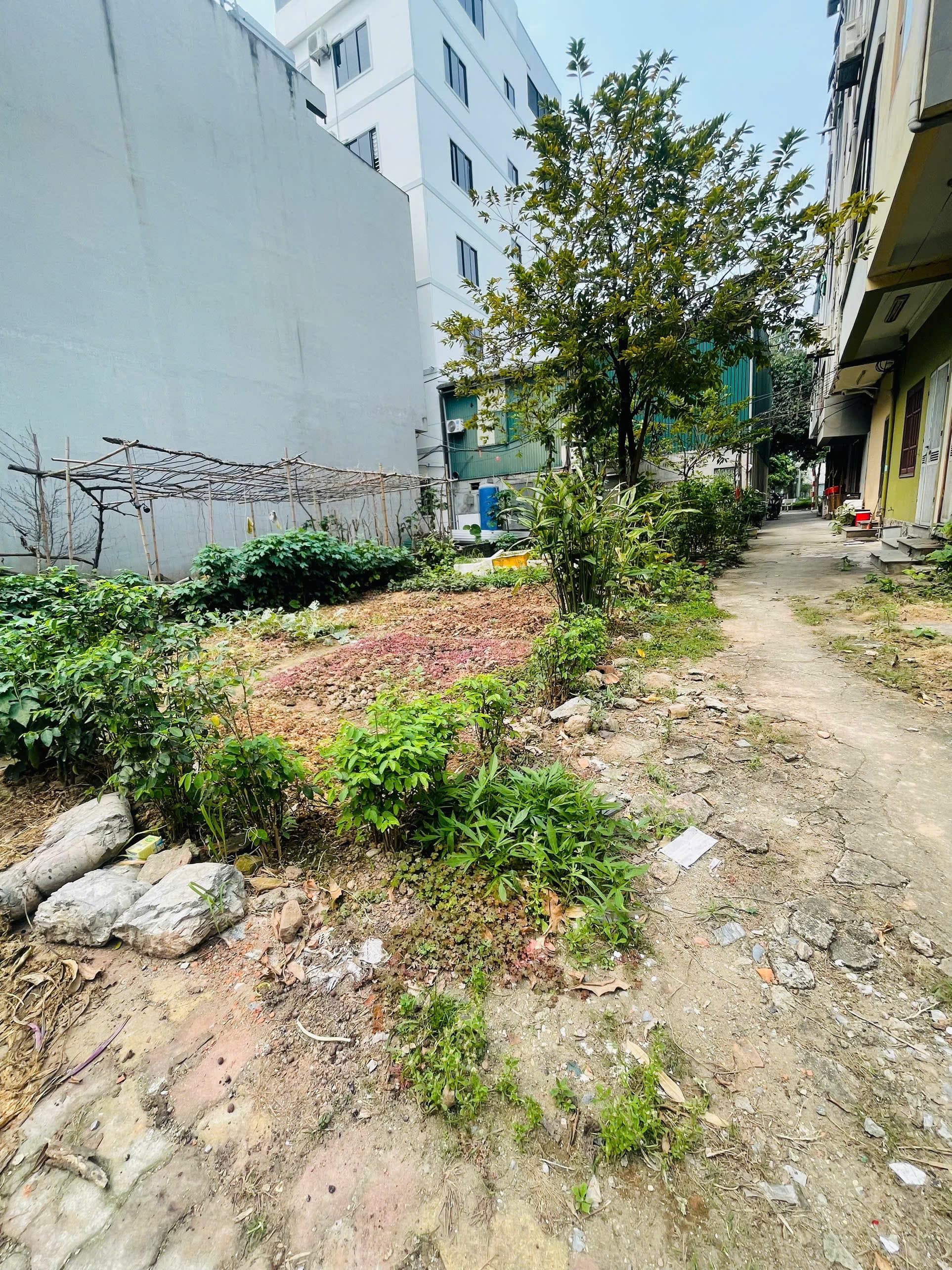 Nhà đất mặt phố, Hoàng Mai, Hà Nội - 80m² giá 28 tỷ