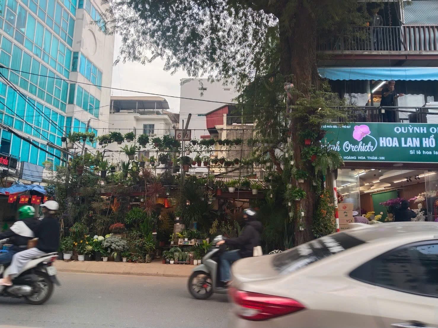 Nhà đất mặt phố, Ba Đình, Hà Nội - 113m² giá 65 tỷ