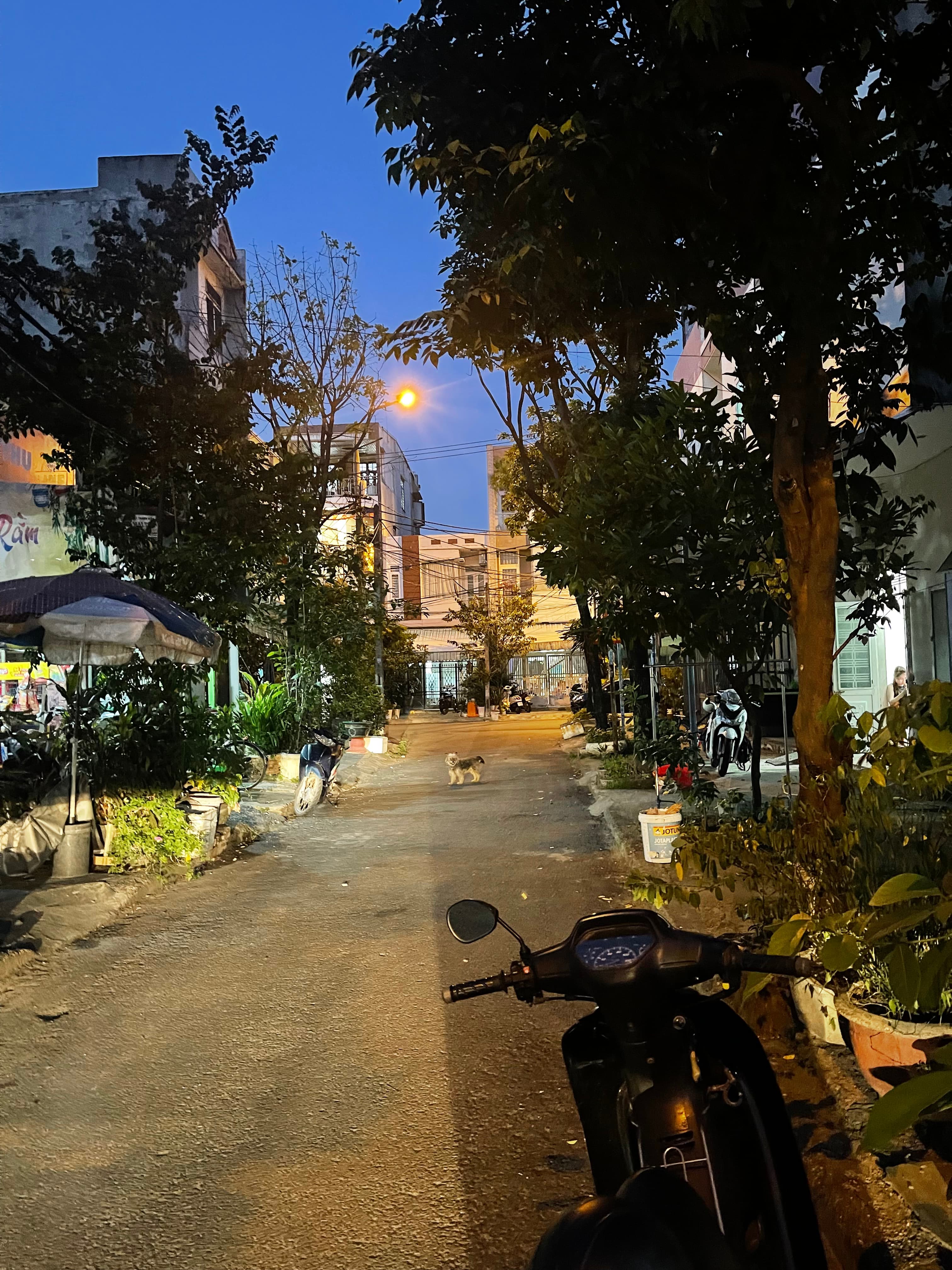 Nhà đất mặt phố, Sơn Trà, Đà Nẵng - 47m² giá 5.5 tỷ