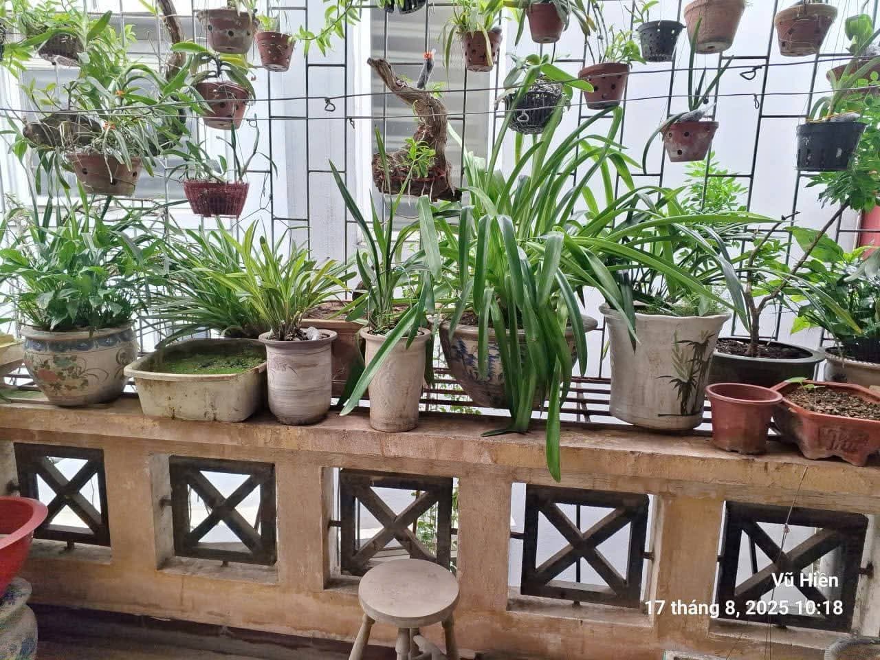 Nhà đất mặt phố, Long Biên, Hà Nội - 64.4m² giá 16.8 tỷ