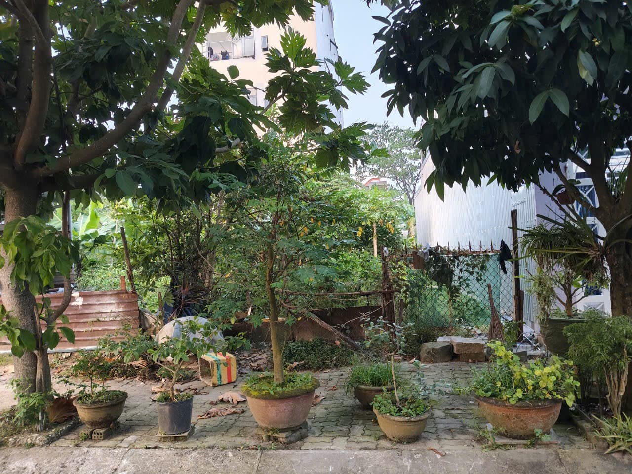Nhà đất mặt phố, Liên Chiểu, Đà Nẵng - 100m² giá 3.87 tỷ
