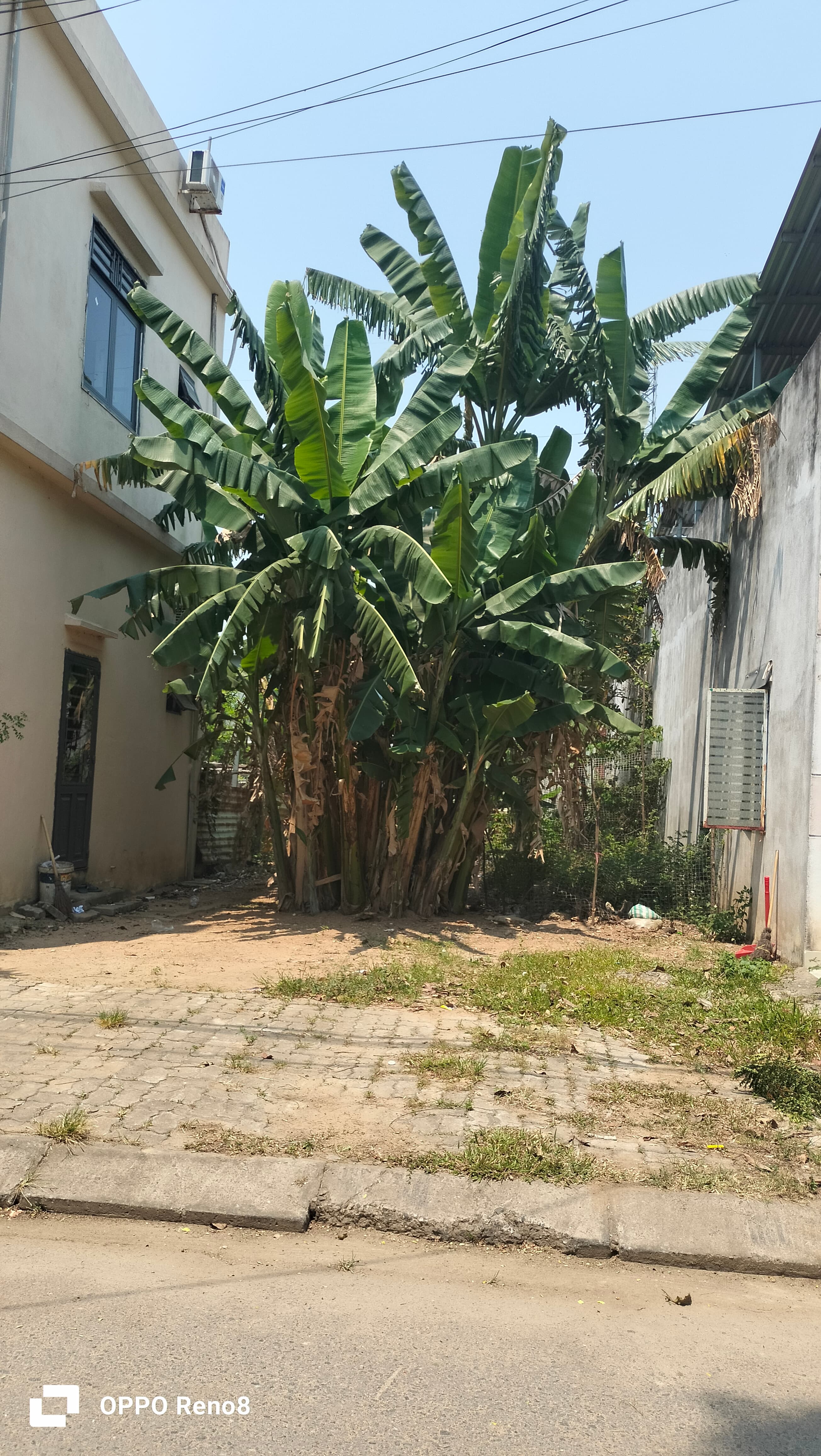 Nhà đất mặt phố Điện Bàn, Quảng Nam - 1, 0m² giá 4.7 tỷ
