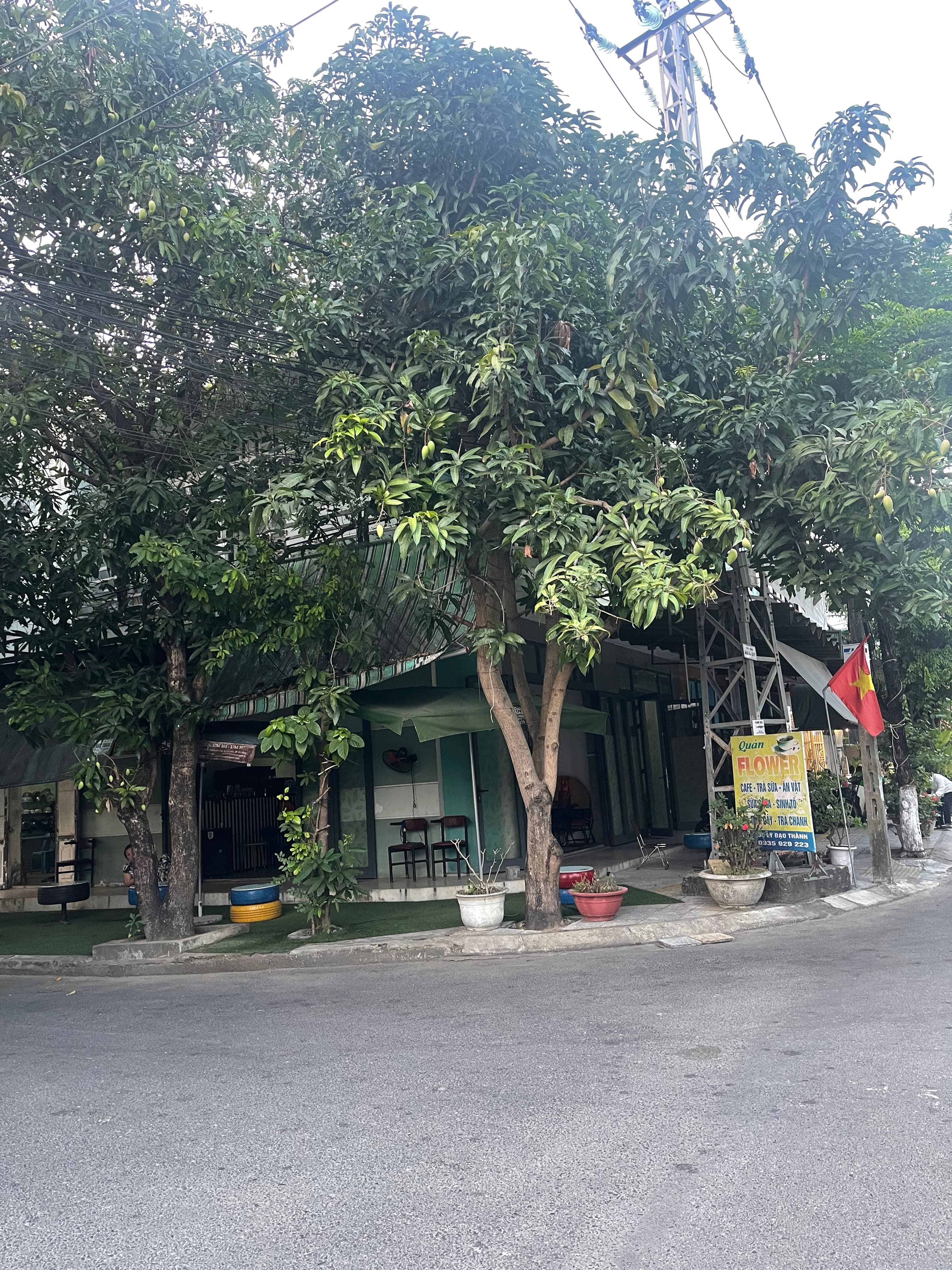 Nhà đất mặt phố, Sơn Trà, Đà Nẵng - 150m² giá 19.2 tỷ