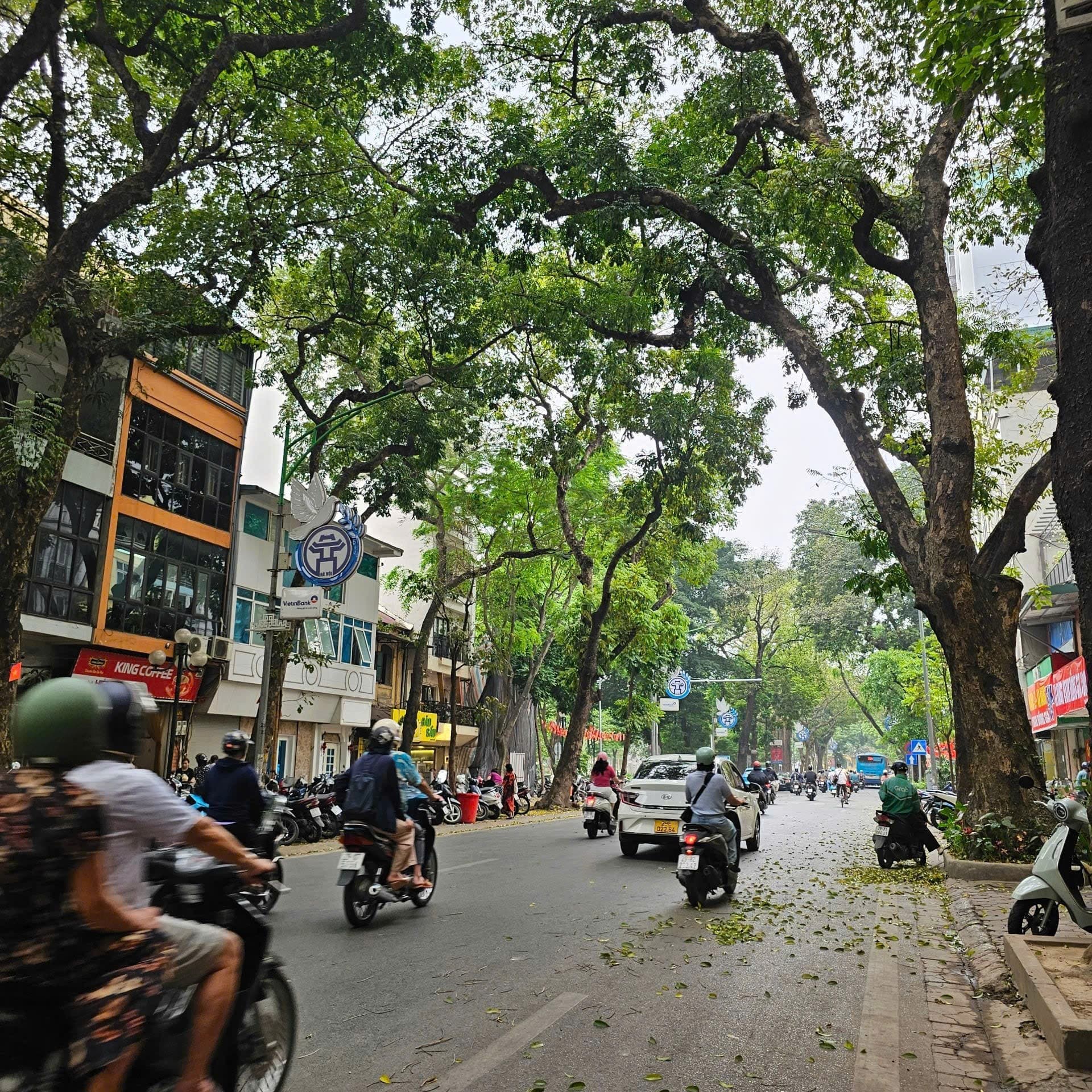 Nhà đất mặt phố, Ba Đình, Hà Nội - 46m² giá 17.5 tỷ