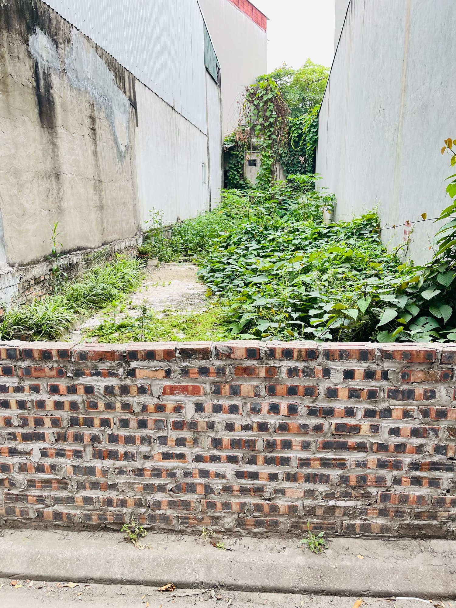 Nhà đất mặt phố, Long Biên, Hà Nội - 85m² giá 14 tỷ
