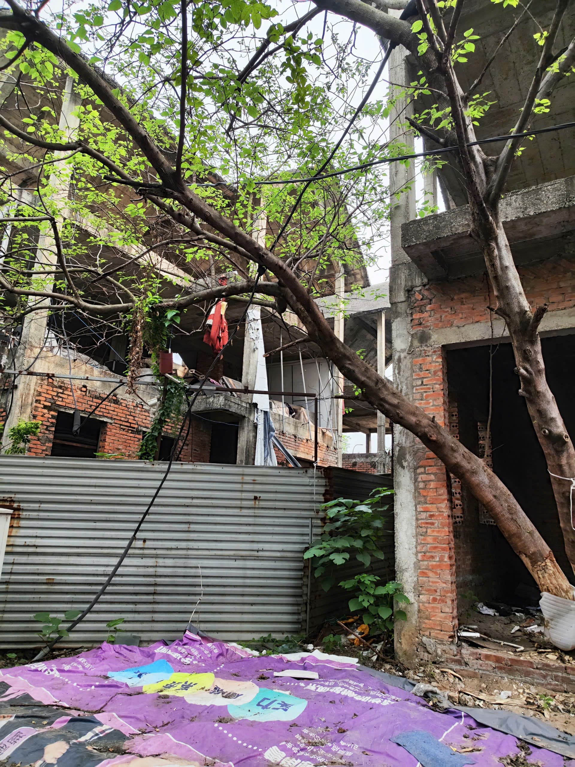 Nhà đất mặt phố, Thanh Trì, Hà Nội - 292m² giá 48 tỷ
