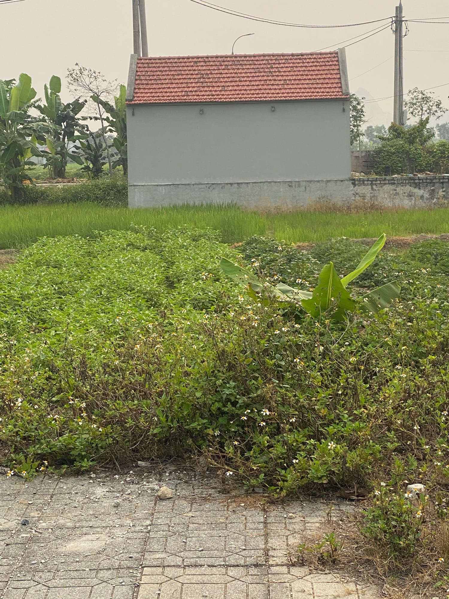 Nhà đất mặt phố Đông Sơn, Thanh Hóa - 1, 0m² giá 1.29 tỷ