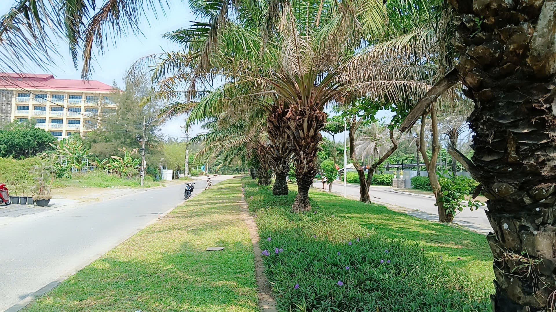 Nhà đất mặt phố, Hội An, Quảng Nam - 239m² giá 20 tỷ