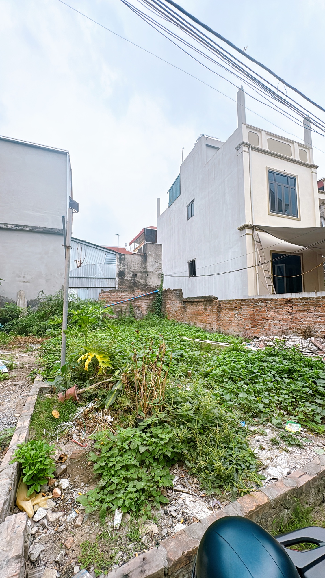 Nhà đất mặt phố, Thanh Trì, Hà Nội - 48m² giá 5.9 tỷ