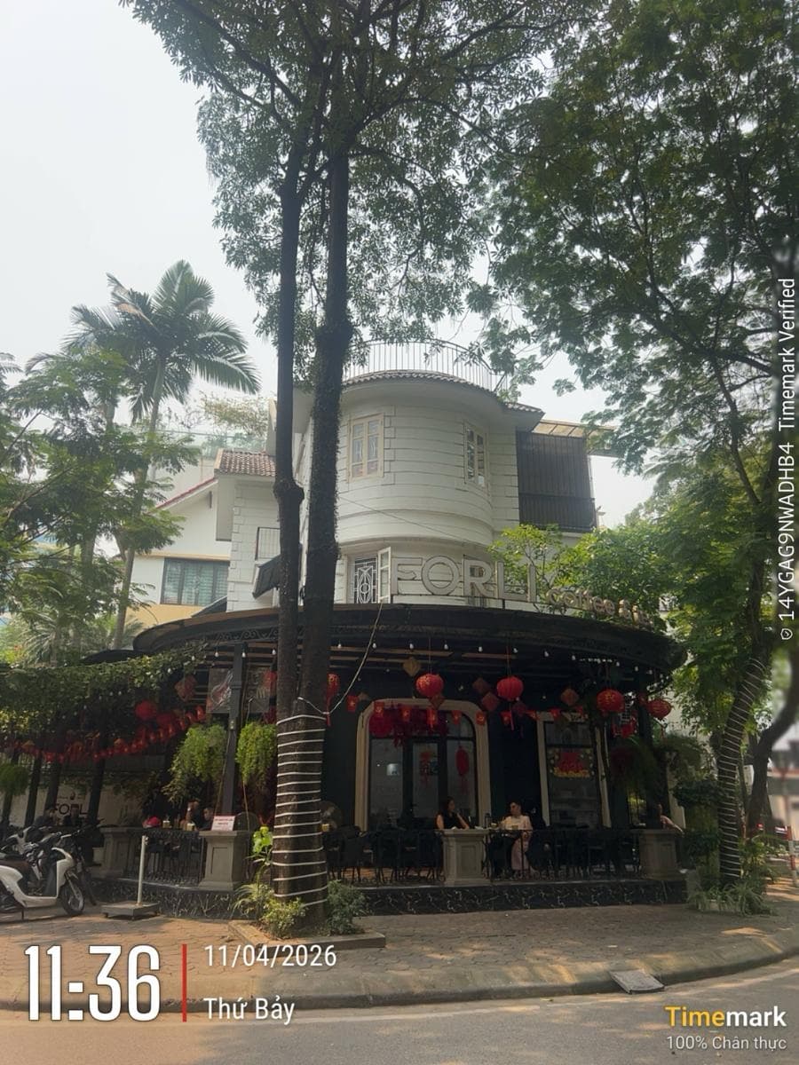 Nhà đất mặt phố, Hoàng Mai, Hà Nội - 215m² giá 115 tỷ