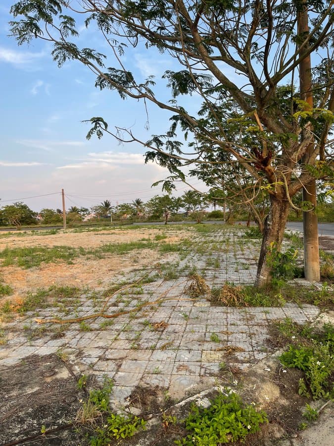 Nhà đất mặt phố, Hội An, Quảng Nam - 331.7m² giá 21.5 tỷ