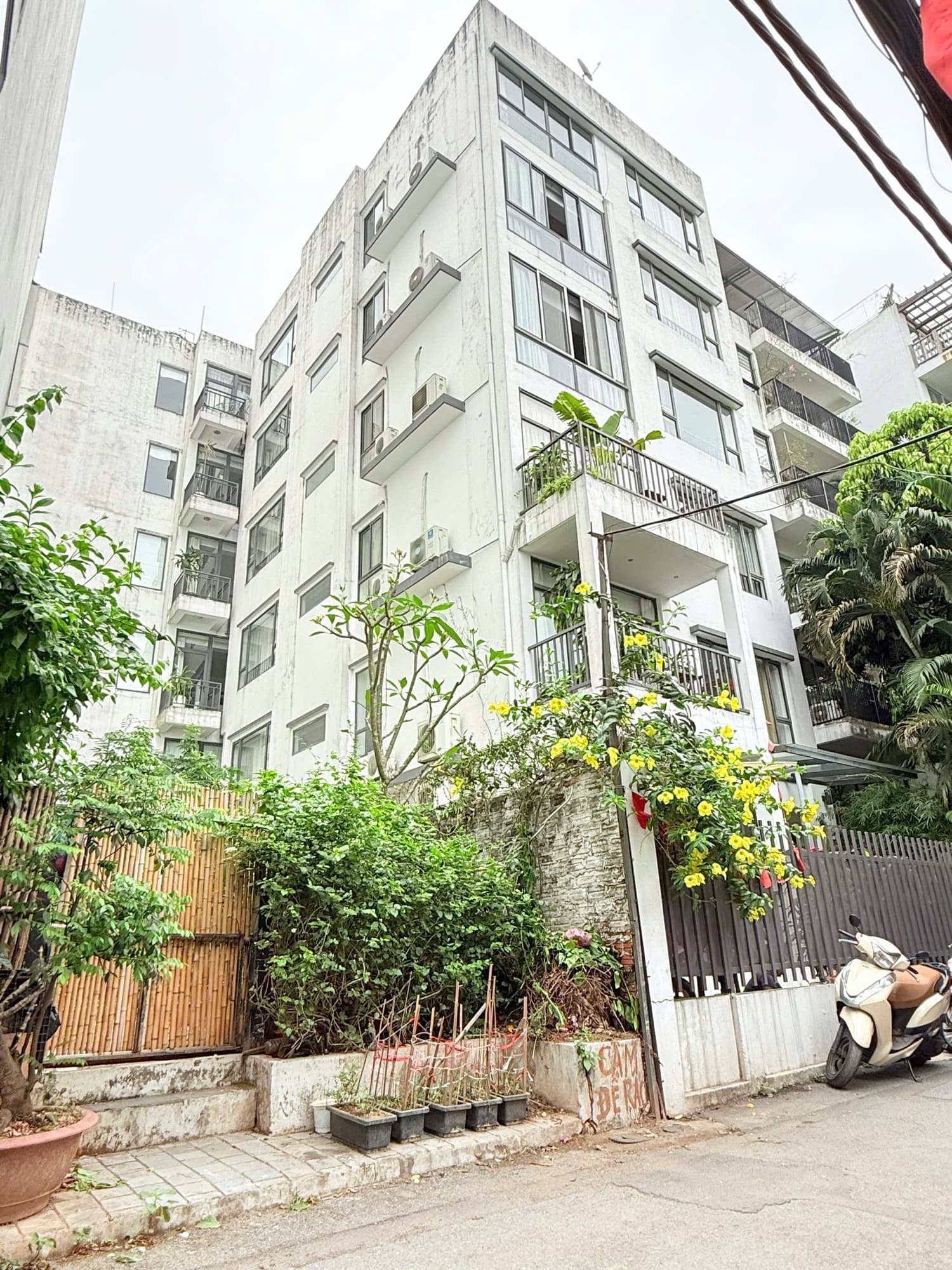 Nhà đất mặt phố, Tây Hồ, Hà Nội - 260m² giá 230 tỷ
