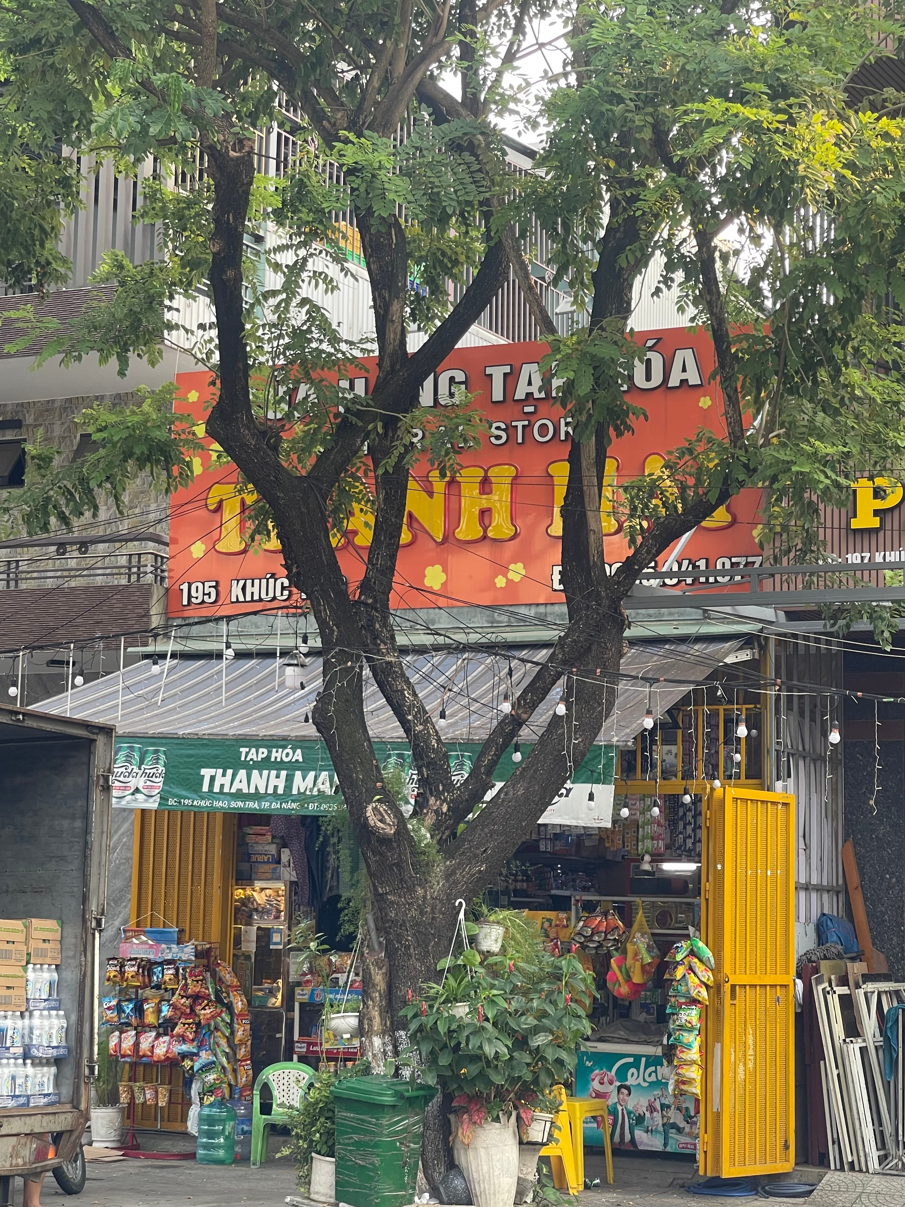 Nhà đất mặt phố, Sơn Trà, Đà Nẵng - 100m² giá 11.5 tỷ
