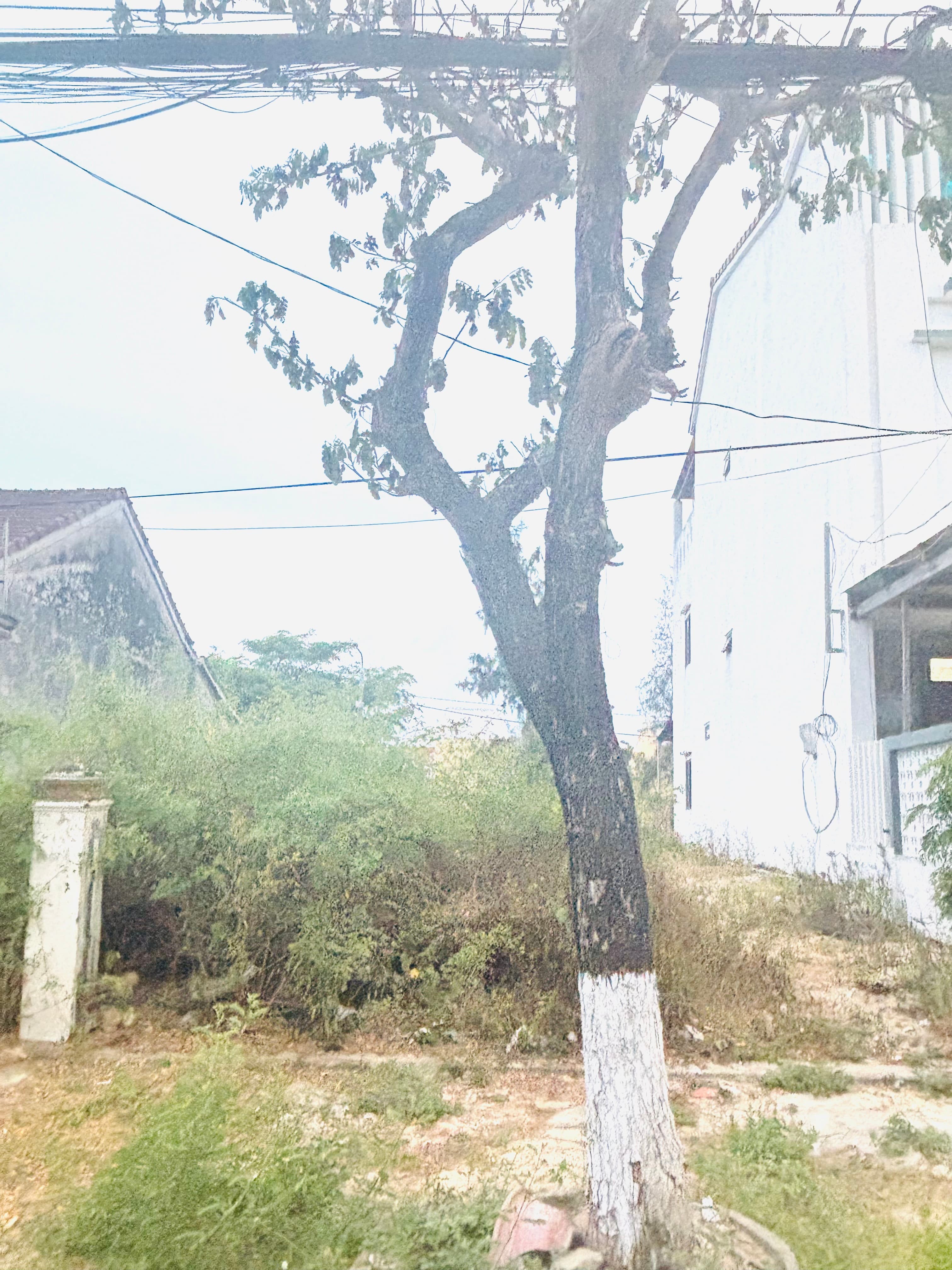 Nhà đất mặt phố, Hội An, Quảng Nam - 230m² giá 9.4 tỷ
