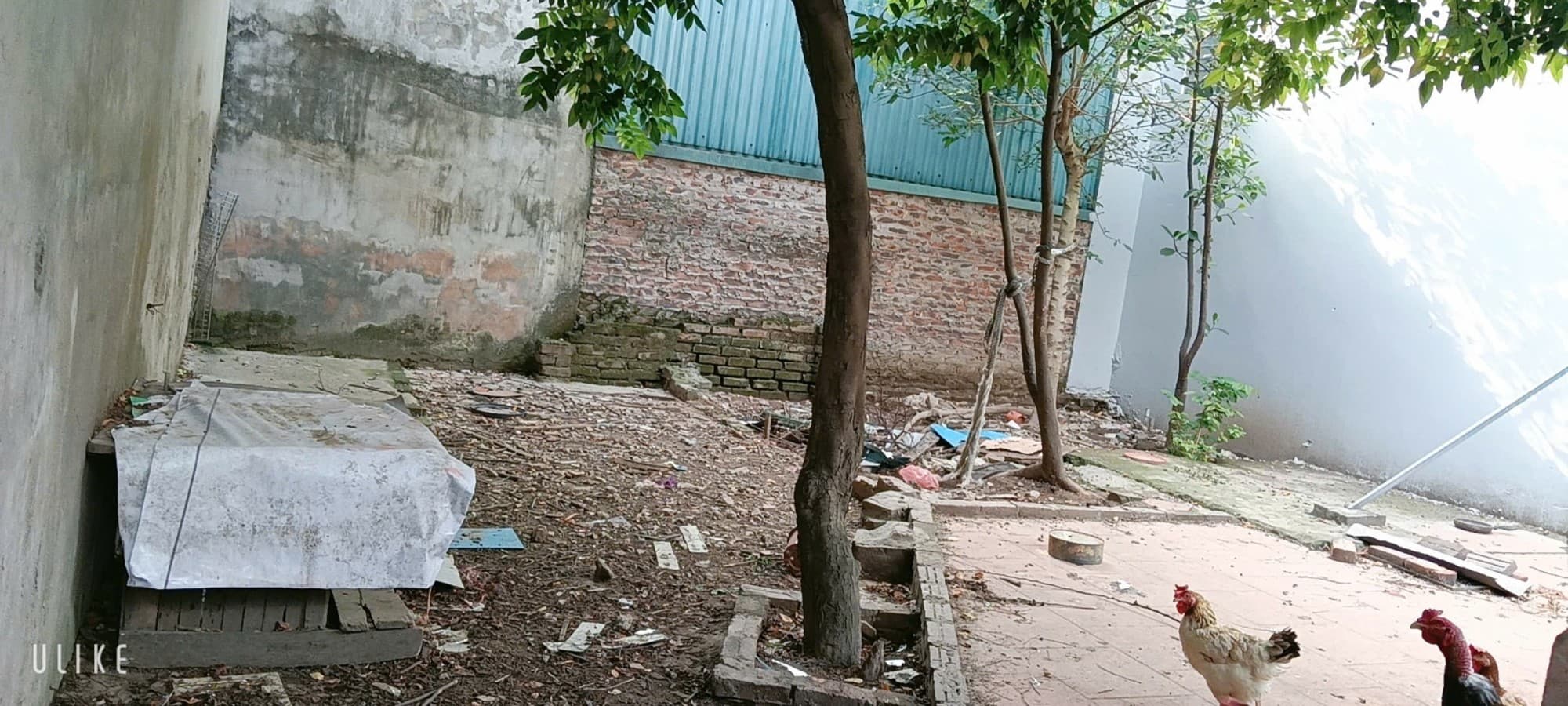 Nhà đất mặt phố, Hà Đông, Hà Nội - 63m² giá 7.5 tỷ