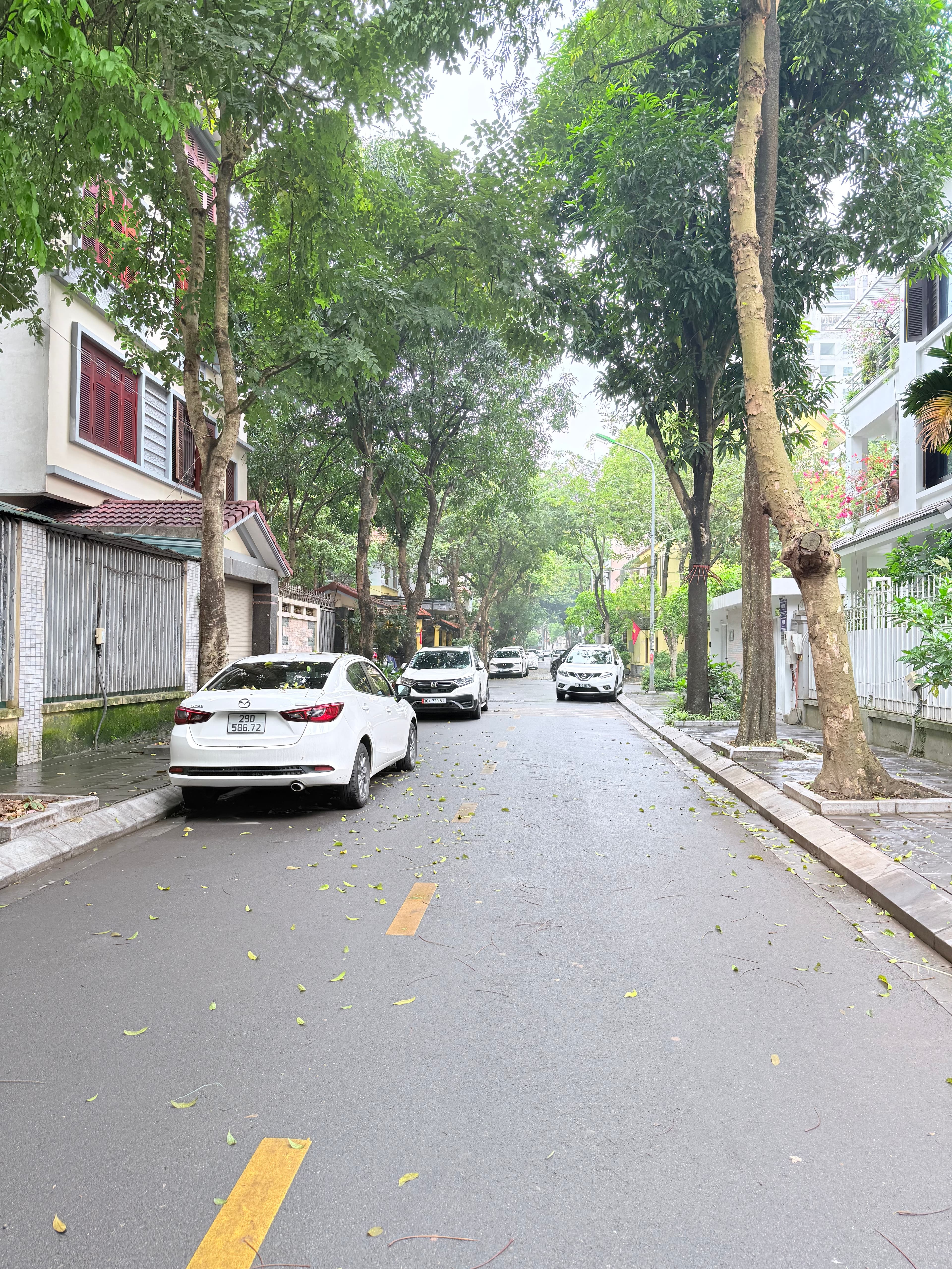 Nhà đất mặt phố, Cầu Giấy, Hà Nội - 200m² giá 98 tỷ
