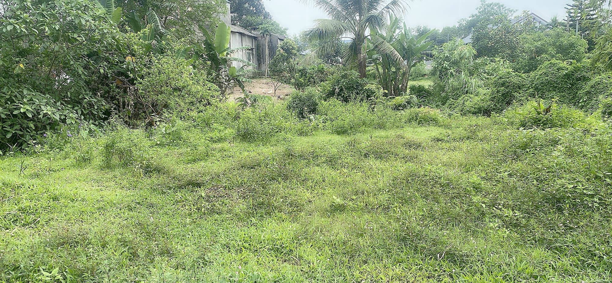 Nhà đất mặt phố, Sông Công, Thái Nguyên - 1500m² giá 9.8 tỷ