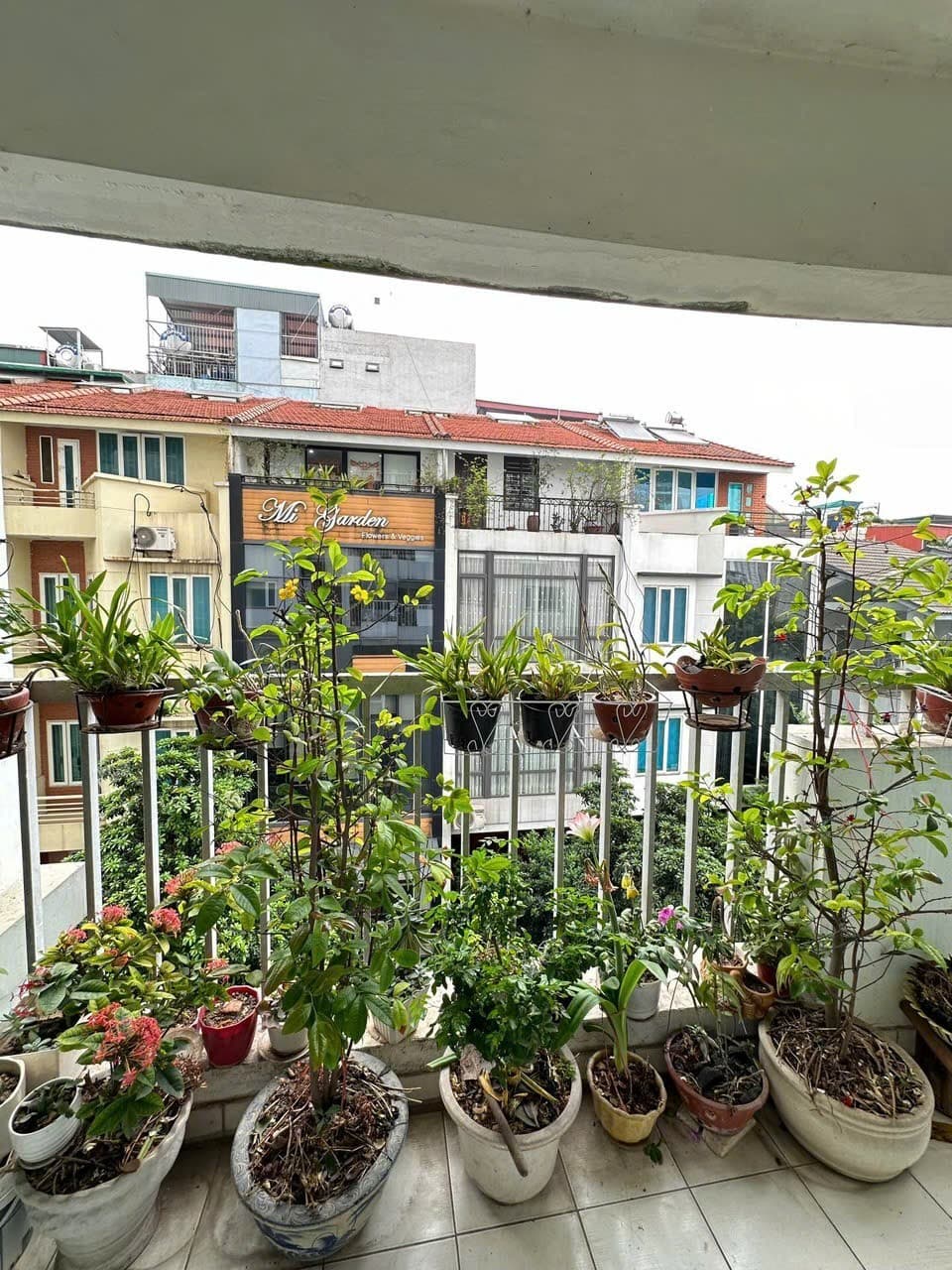 Căn hộ mặt phố, Tây Hồ, Hà Nội - 145m² giá 13 tỷ