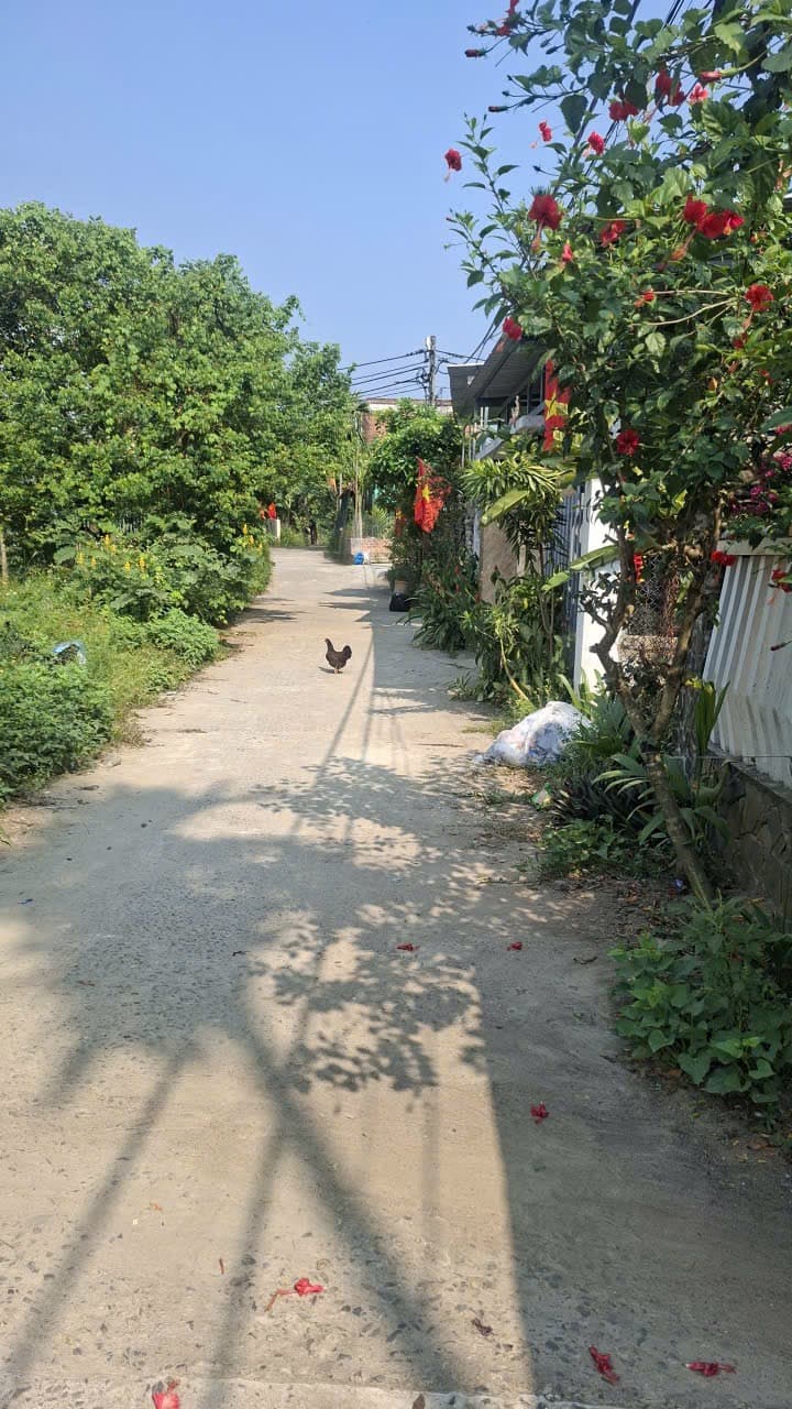 Nhà đất mặt phố Hòa Vang, Đà Nẵng - 15, m² giá 1.05 tỷ