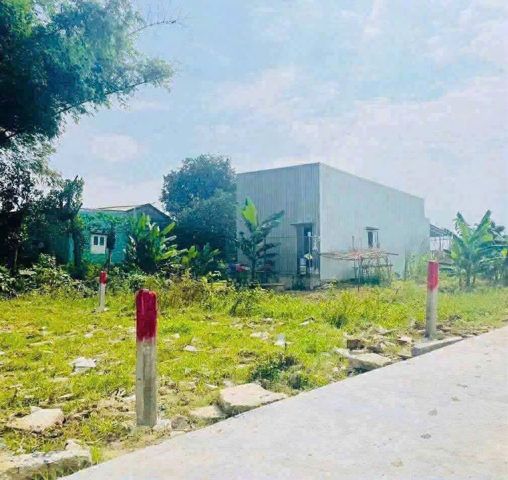 Nhà đất mặt phố Điện Bàn, Quảng Nam - 125m² giá, .65 tỷ
