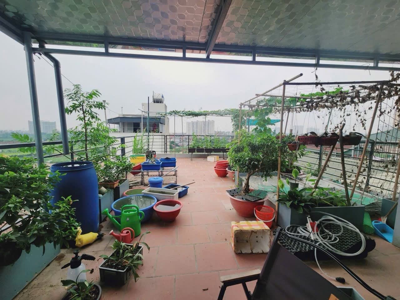 Nhà đất mặt phố, Hà Đông, Hà Nội - 50m² giá 18.3 tỷ