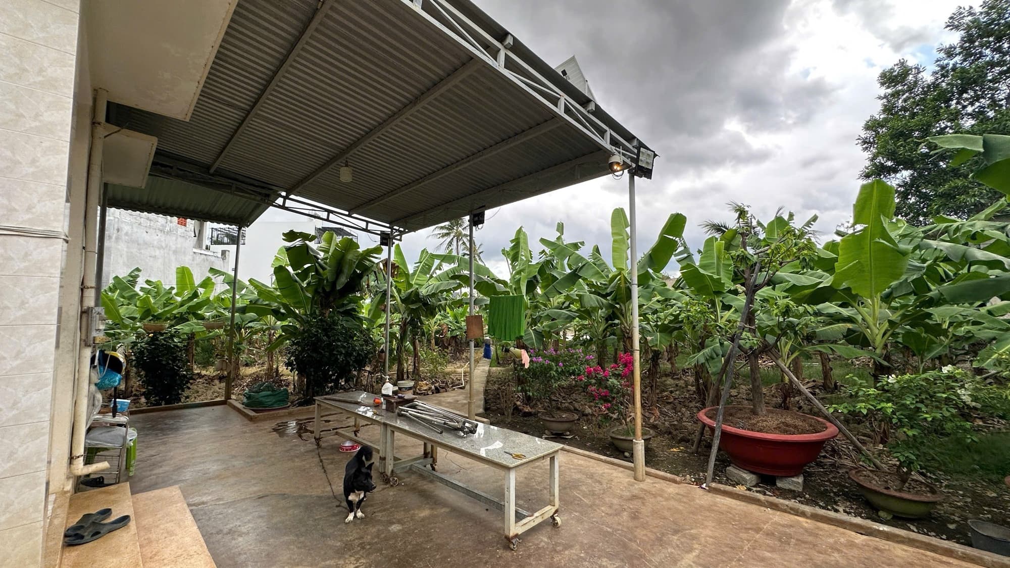 Nhà đất mặt phố, Nha Trang, Khánh Hòa - 800m² giá 19.5 tỷ