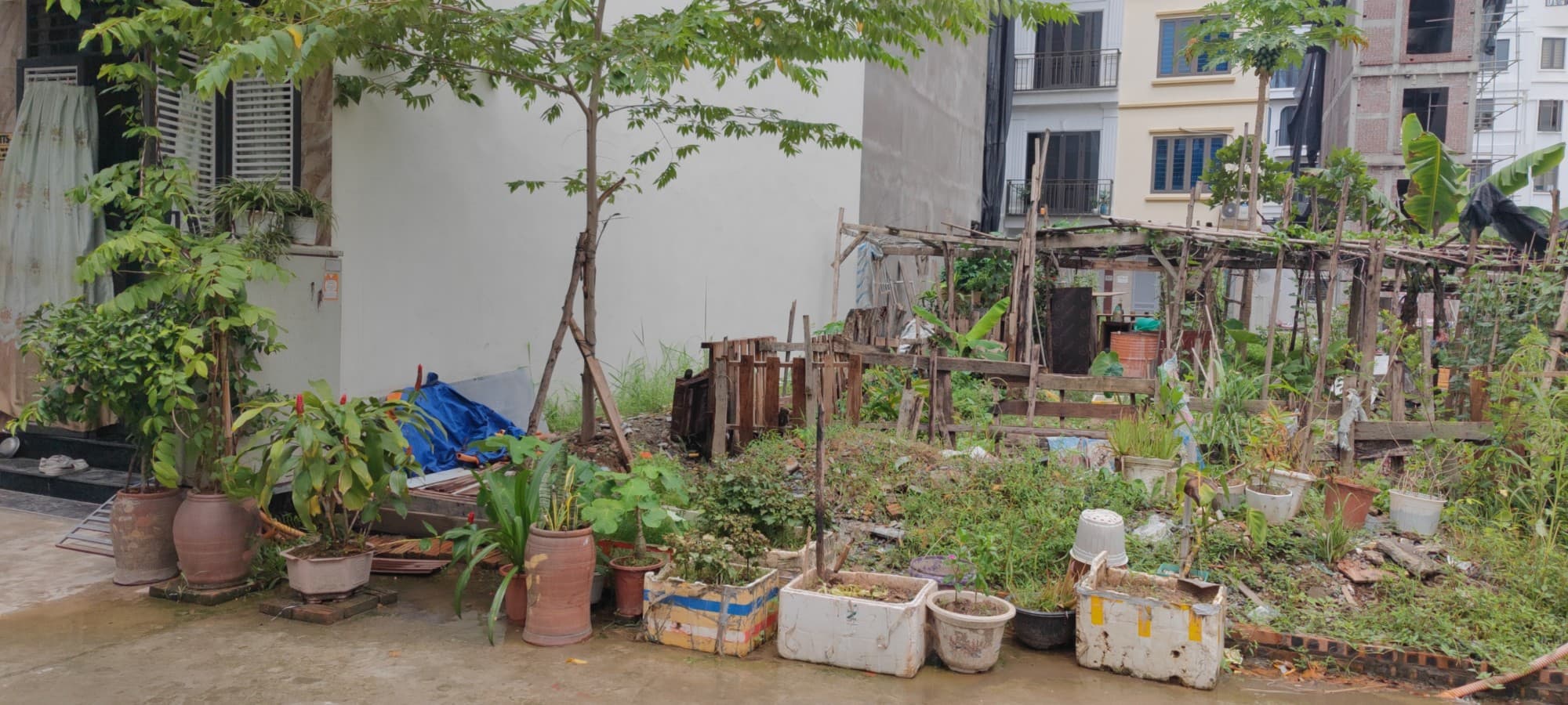 Nhà đất mặt phố, Long Biên, Hà Nội - 50m² giá 16.8 tỷ