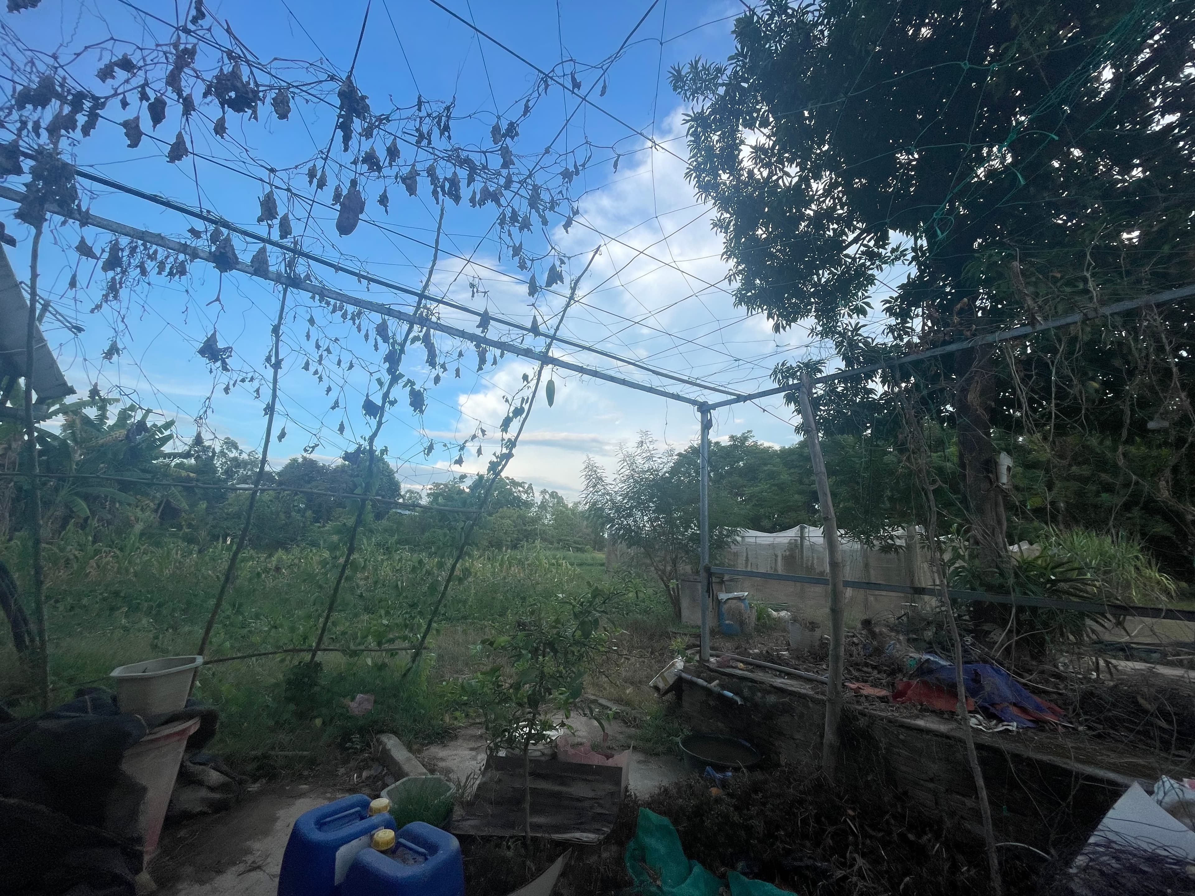 Nhà đất mặt phố, Điện Bàn, Quảng Nam - 2620m² giá 4.65 tỷ