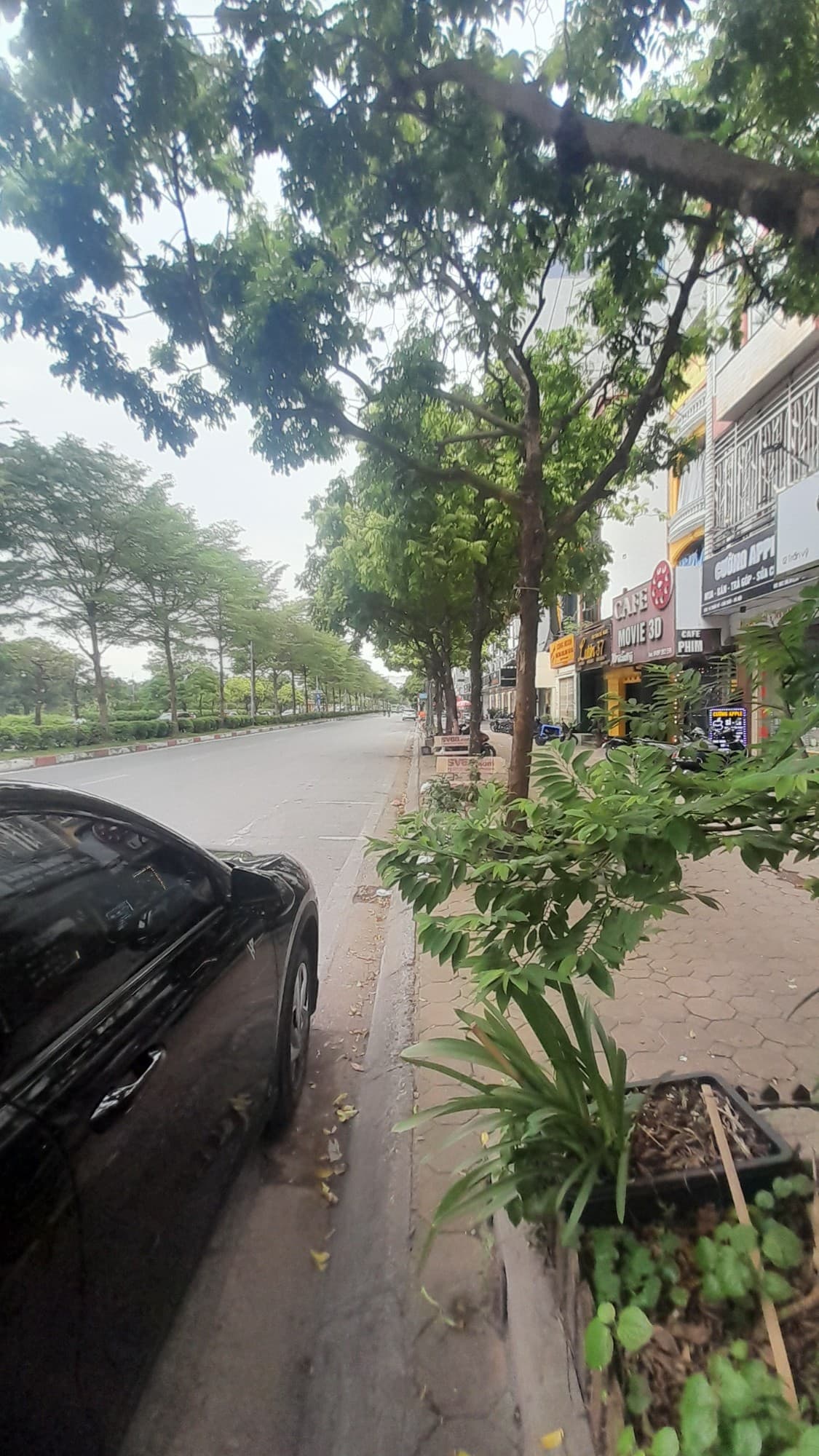 Nhà đất mặt phố, Cầu Giấy, Hà Nội - 76m² giá 36.5 tỷ