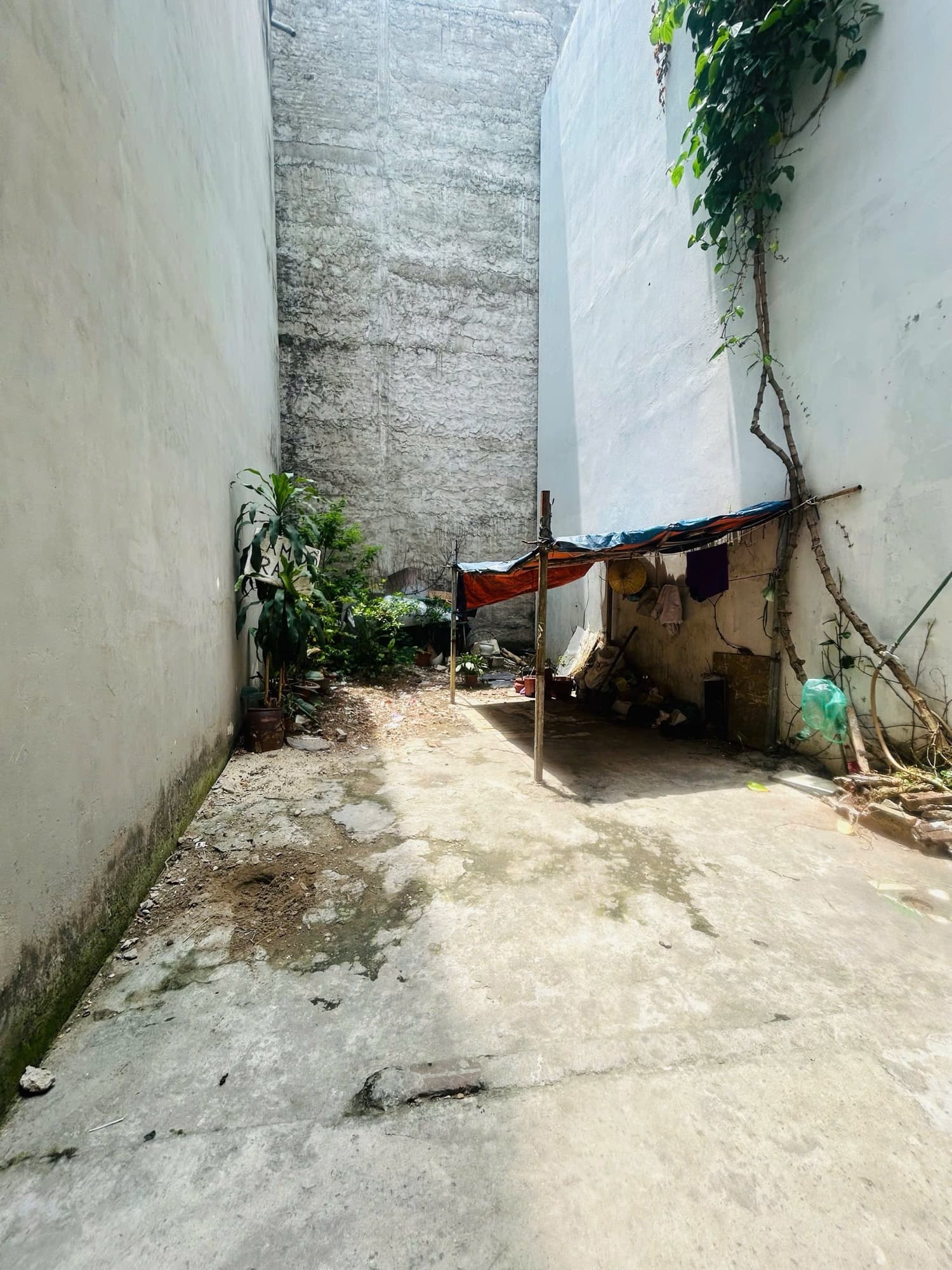 Nhà đất mặt phố, Hoàng Mai, Hà Nội - 30m² giá 6 tỷ