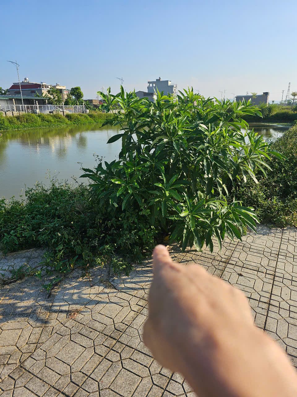 Nhà đất mặt phố, Đông Sơn, Thanh Hóa - 151.4m² giá 2.85 tỷ
