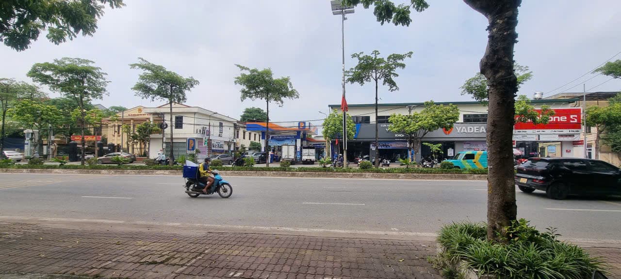 Nhà đất mặt phố, Đan Phượng, Hà Nội - 85m² giá 13.2 tỷ