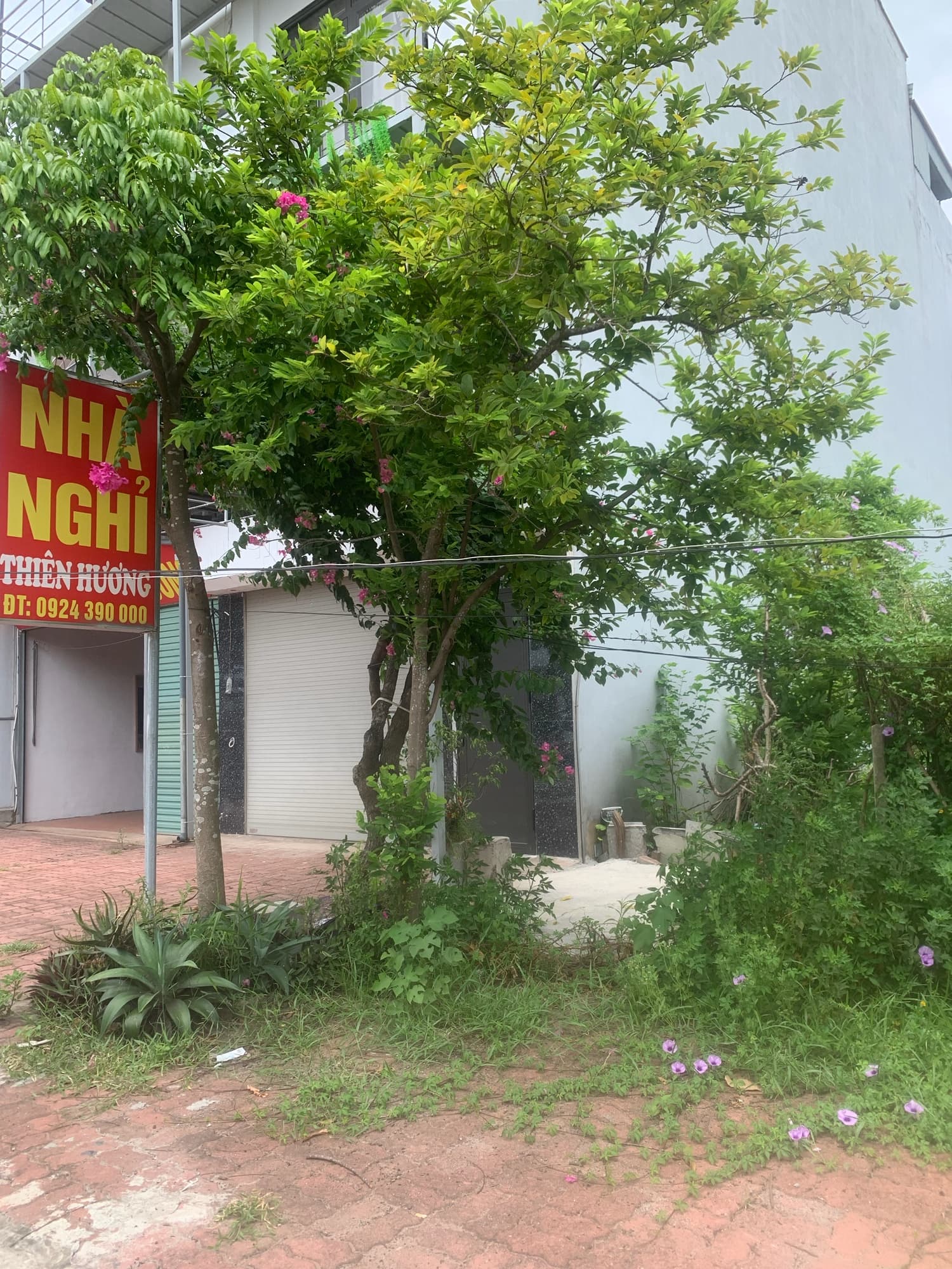 Nhà đất mặt phố Hưng Yên, Hưng Yên - 1, 0m² giá 4.3 tỷ