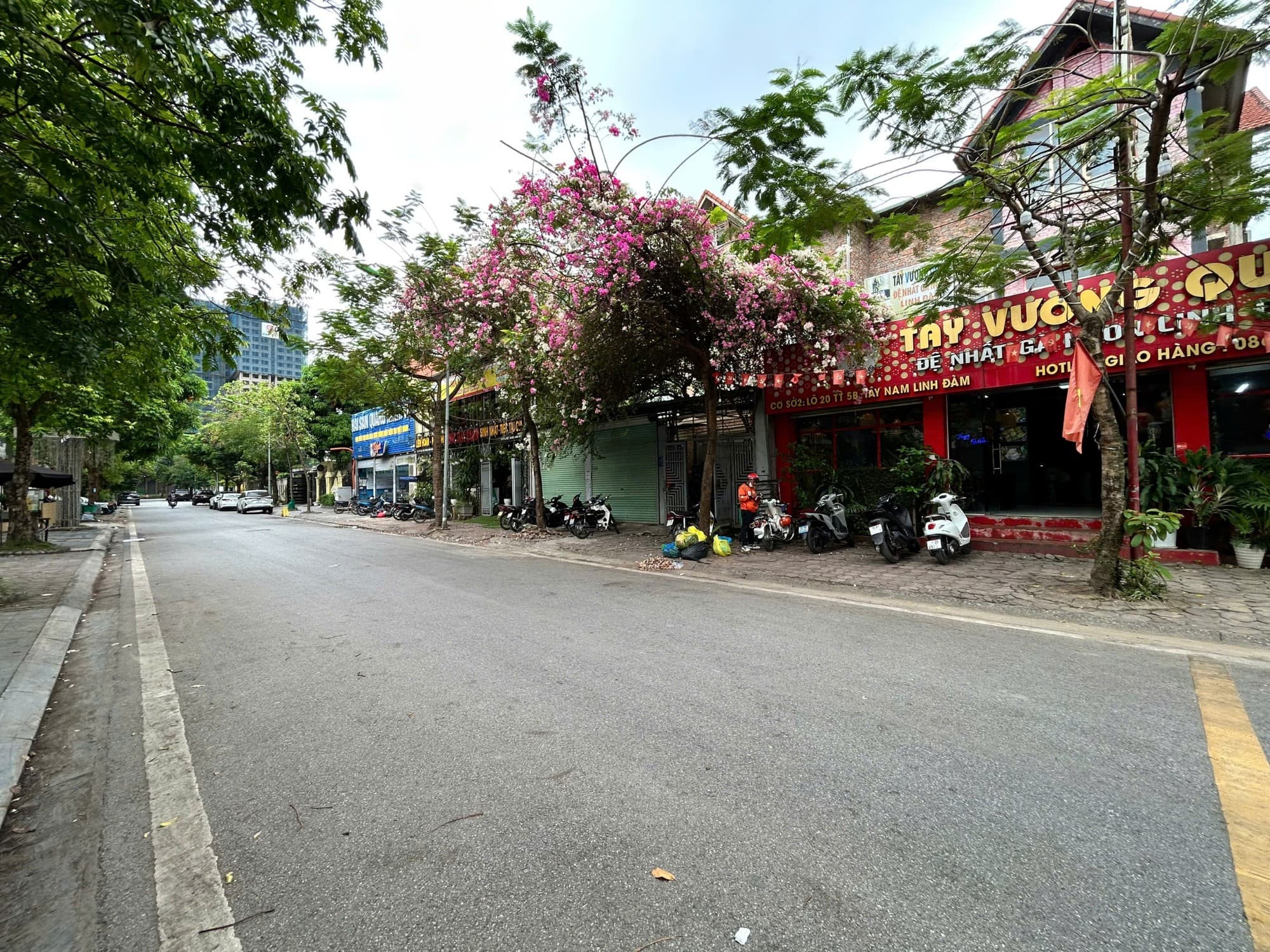 Dự án Tây Nam Hồ Linh Đàm - 21, m² giá 96.5 tỷ