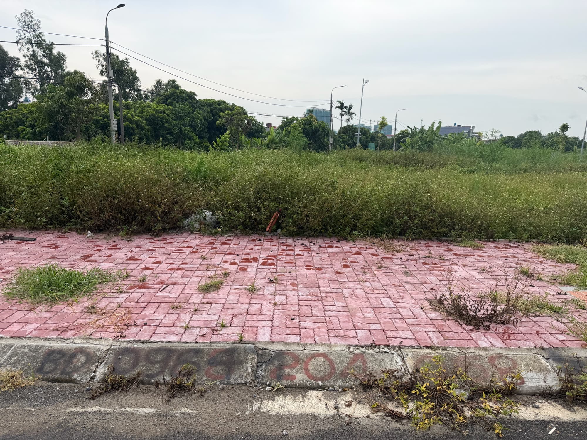 Nhà đất mặt phố, Hưng Yên, Hưng Yên - giá 4.2 tỷ
