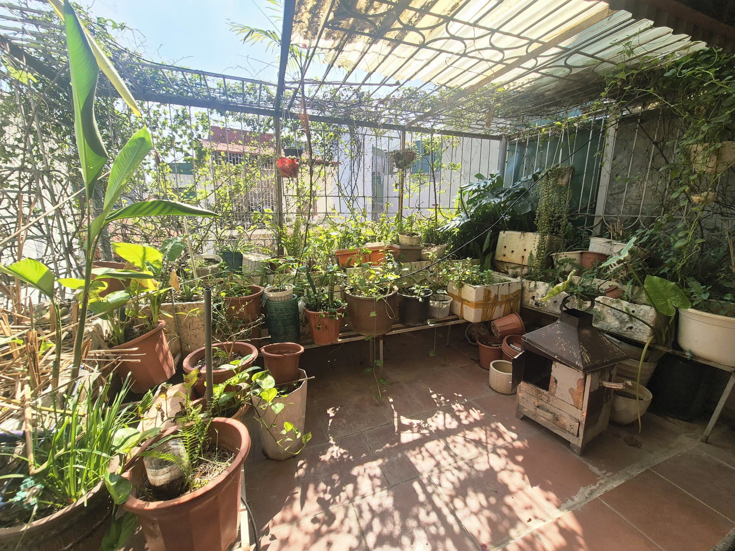 Nhà đất mặt phố, Thanh Xuân, Hà Nội - 38m² giá 7.79 tỷ