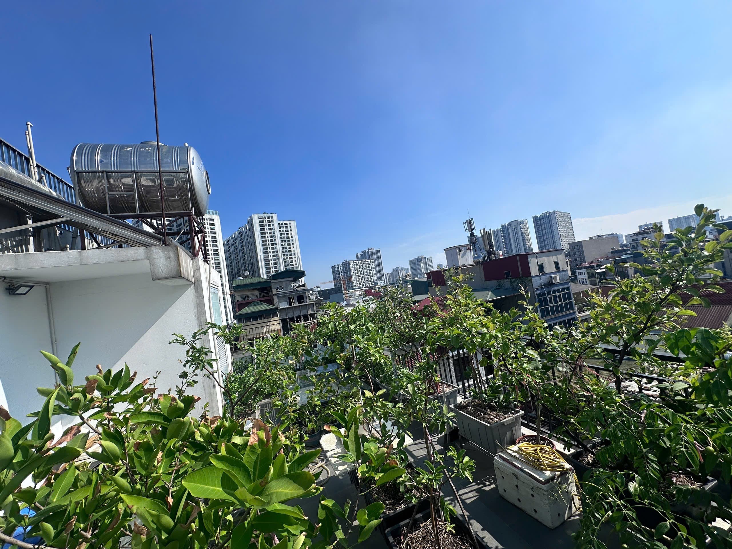 Nhà đất mặt phố, Hai Bà Trưng, Hà Nội - 86m² giá 37.9 tỷ