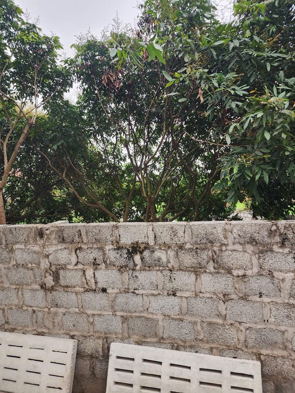 Nhà đất mặt phố Hưng Yên, Hưng Yên - 8, .8m² giá 2.1 tỷ